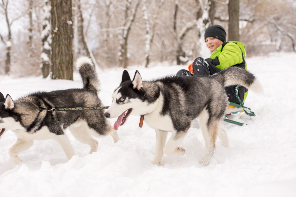 Finland Family Winter Adventure
