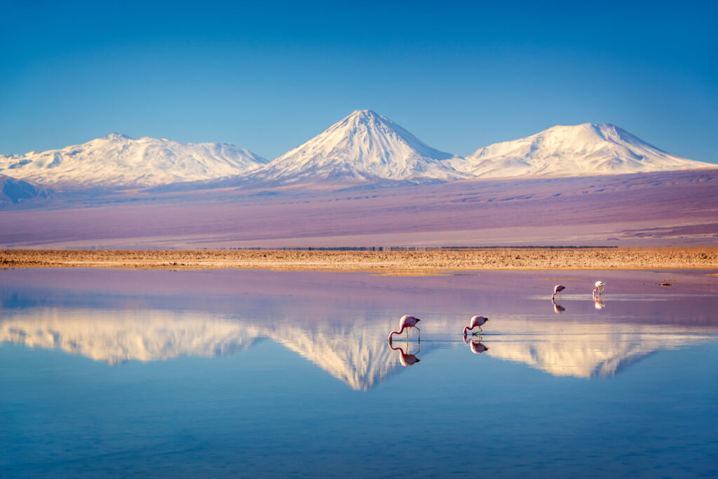 Discover Chile