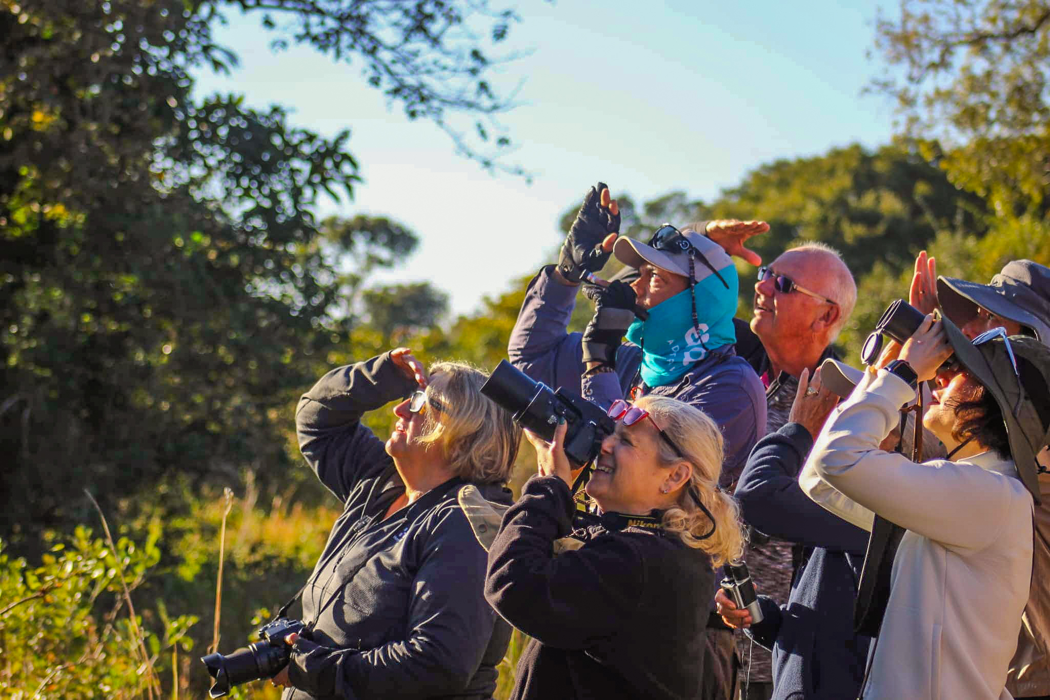 Pantanal - Land of the Jaguar