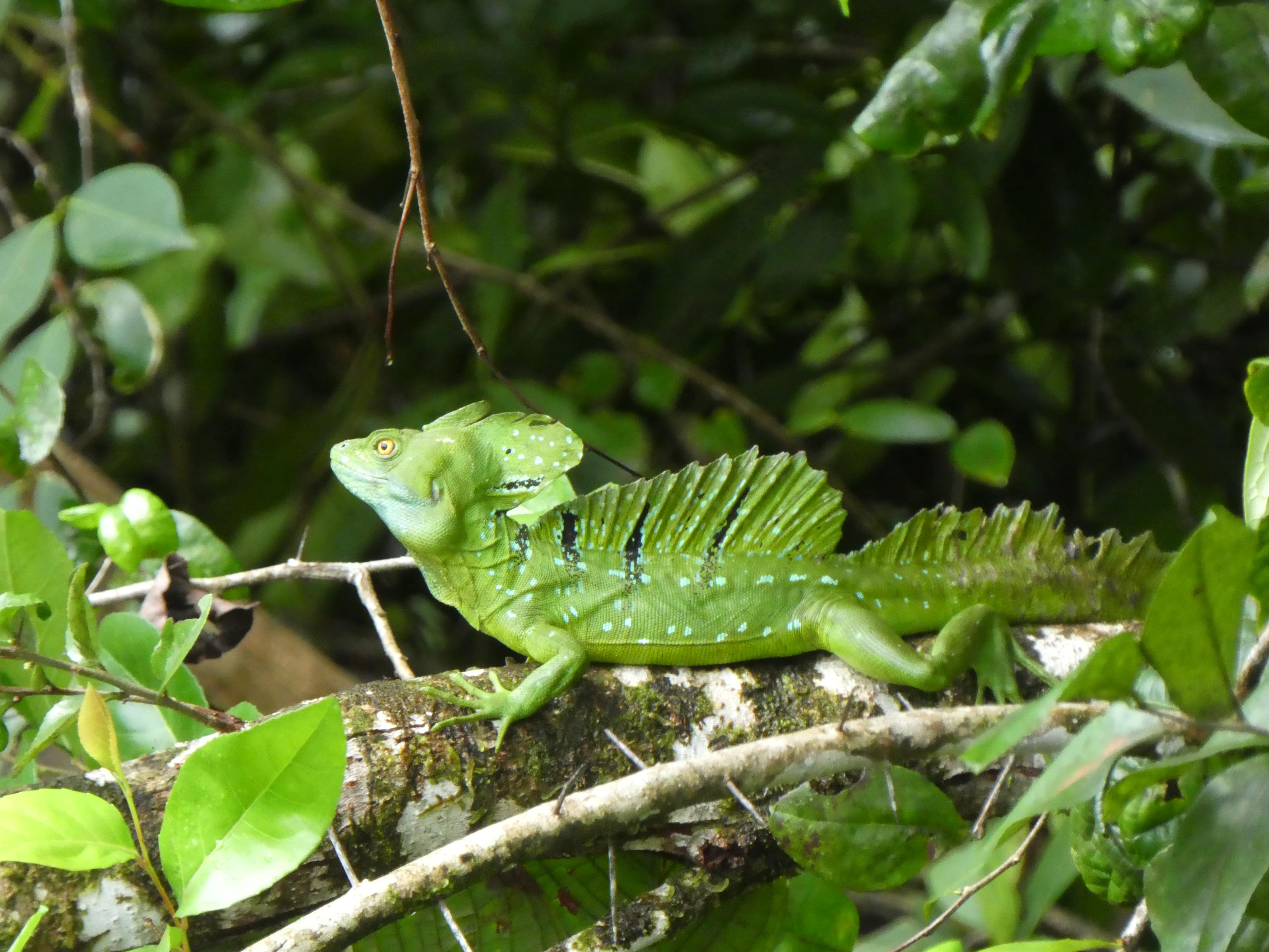 Discover Costa Rica