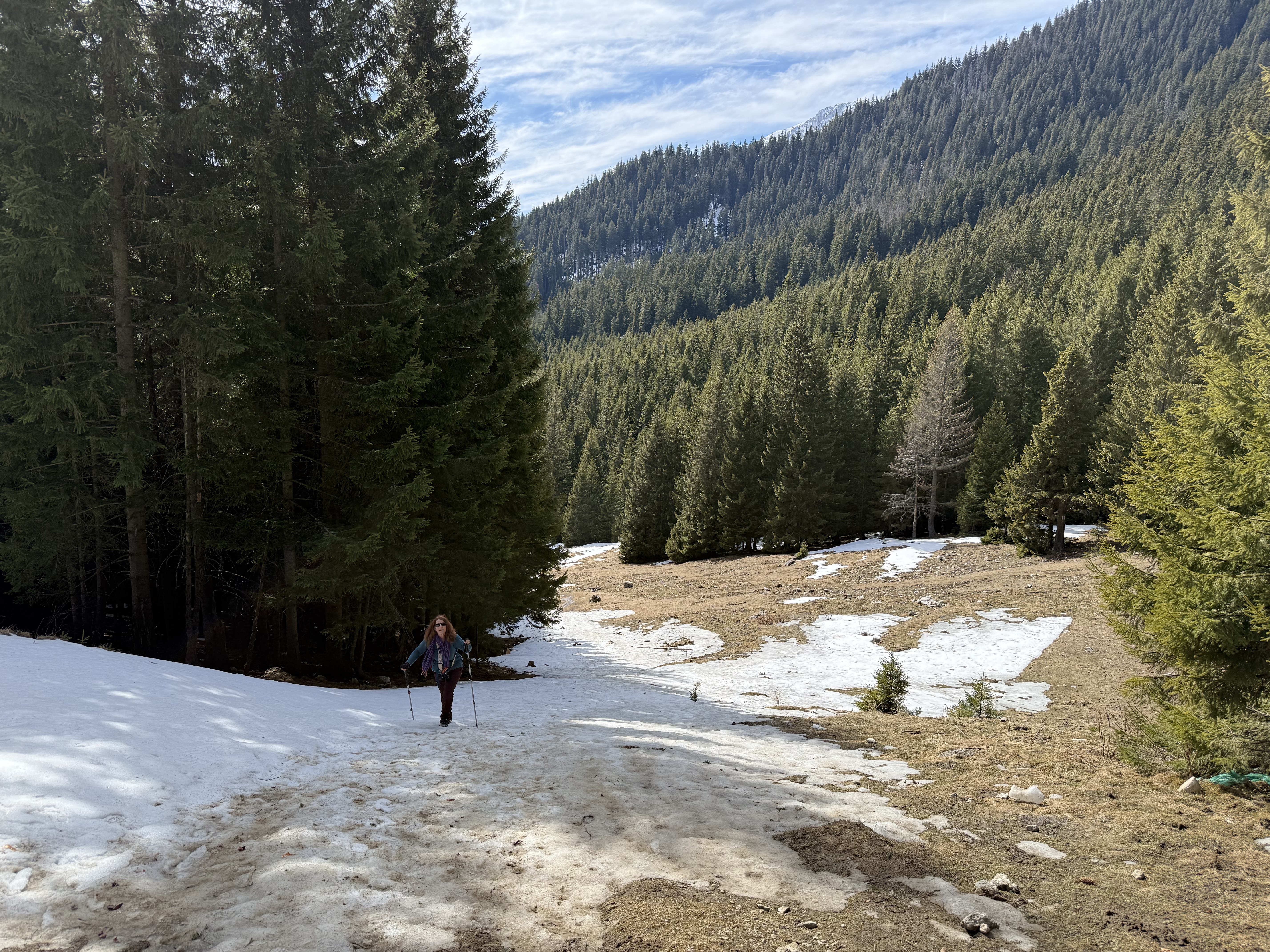 Transylvania Winter Walk & Snowshoe