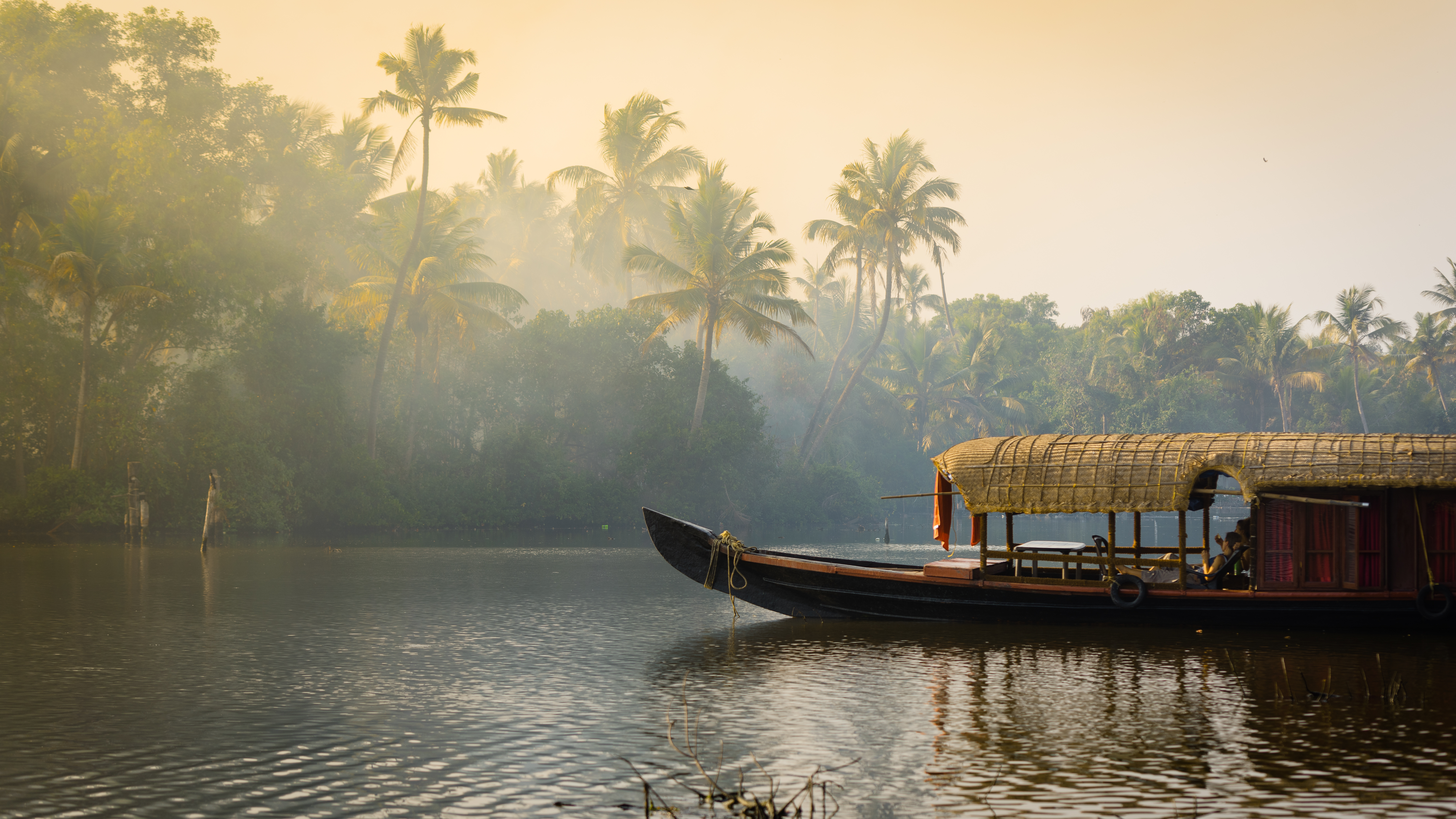 Kerala &amp; the Tropical South
