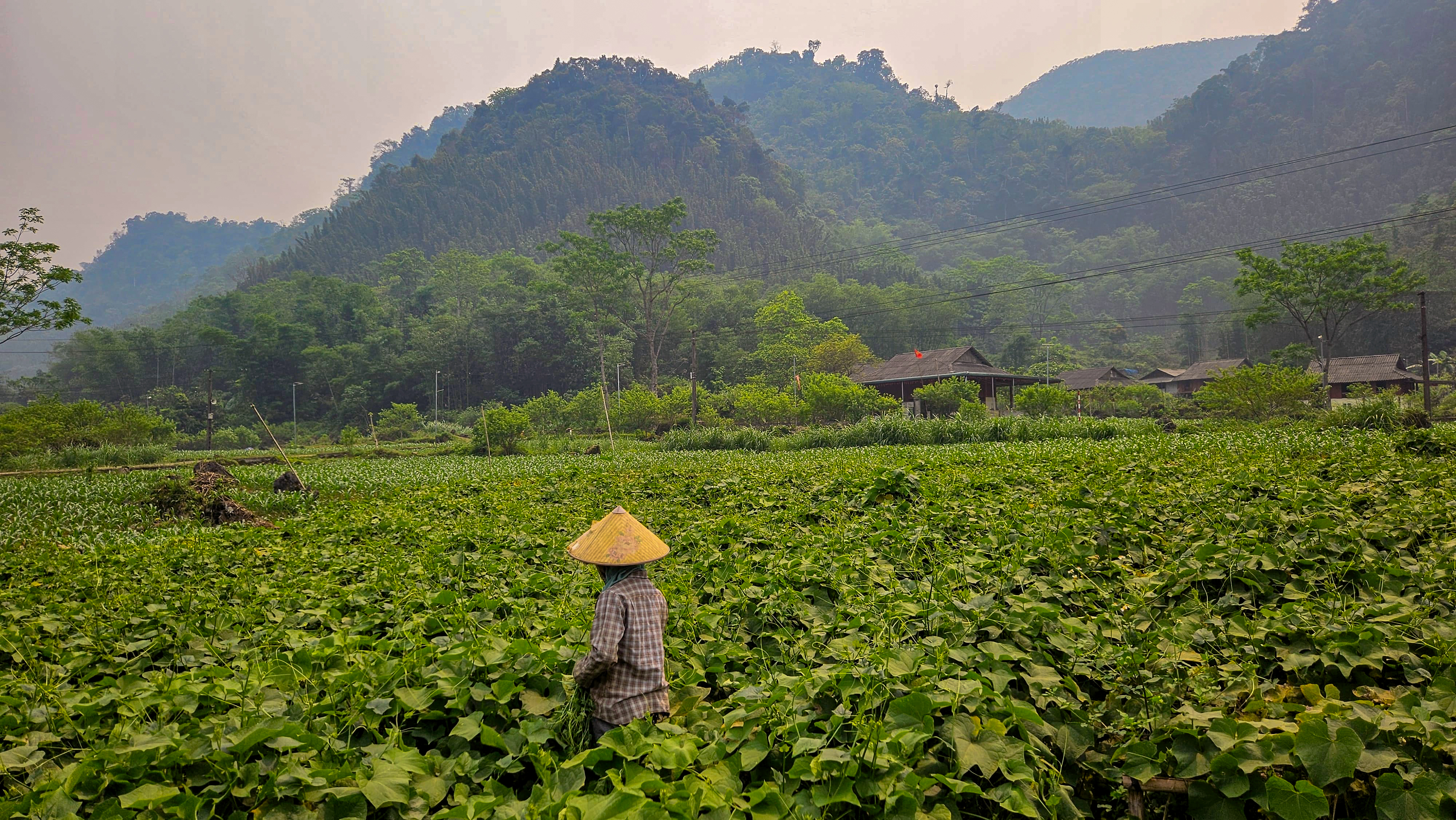 Trails of Vietnam