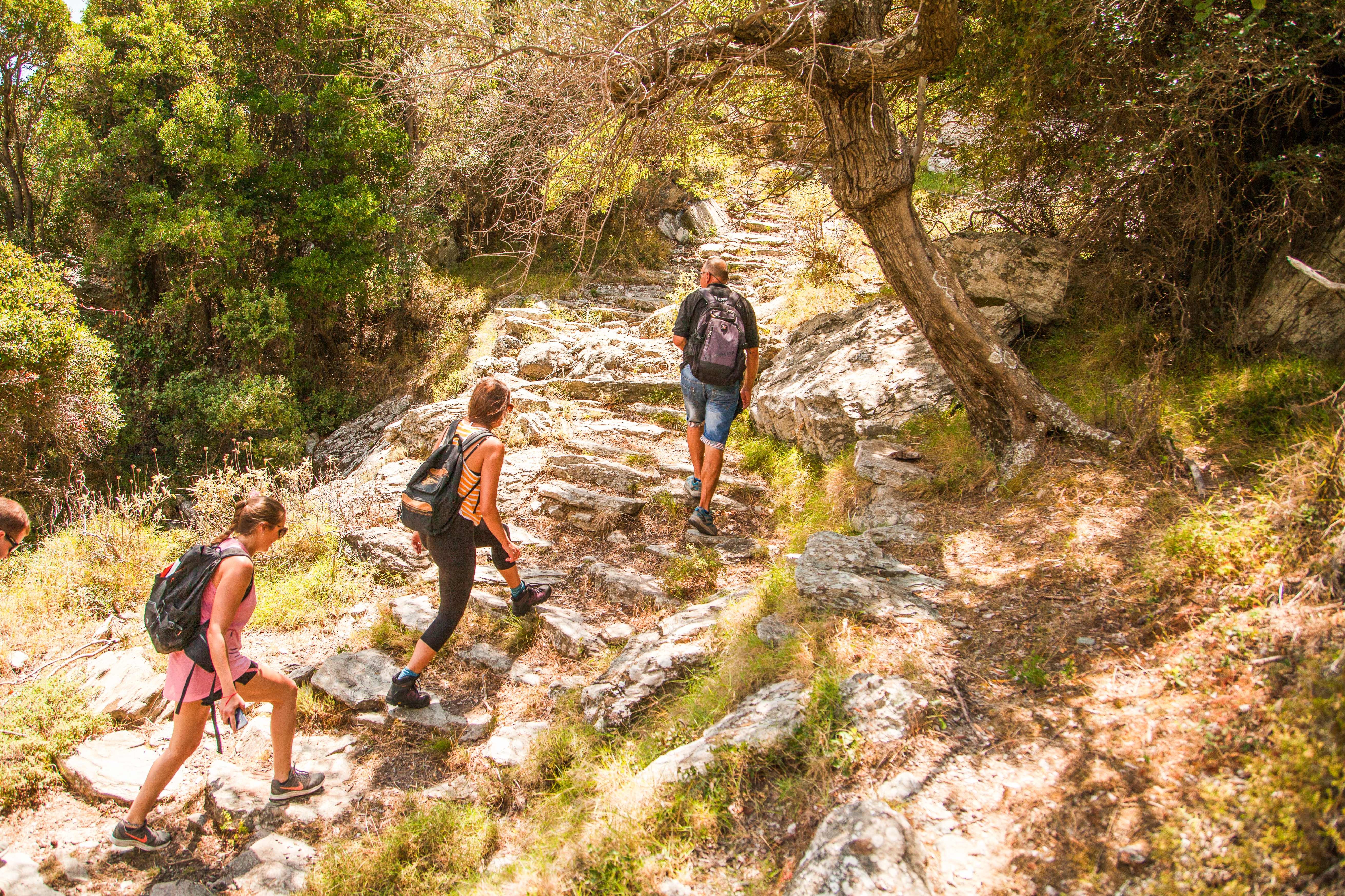 Walking the Mountains &amp; Villages of Evia