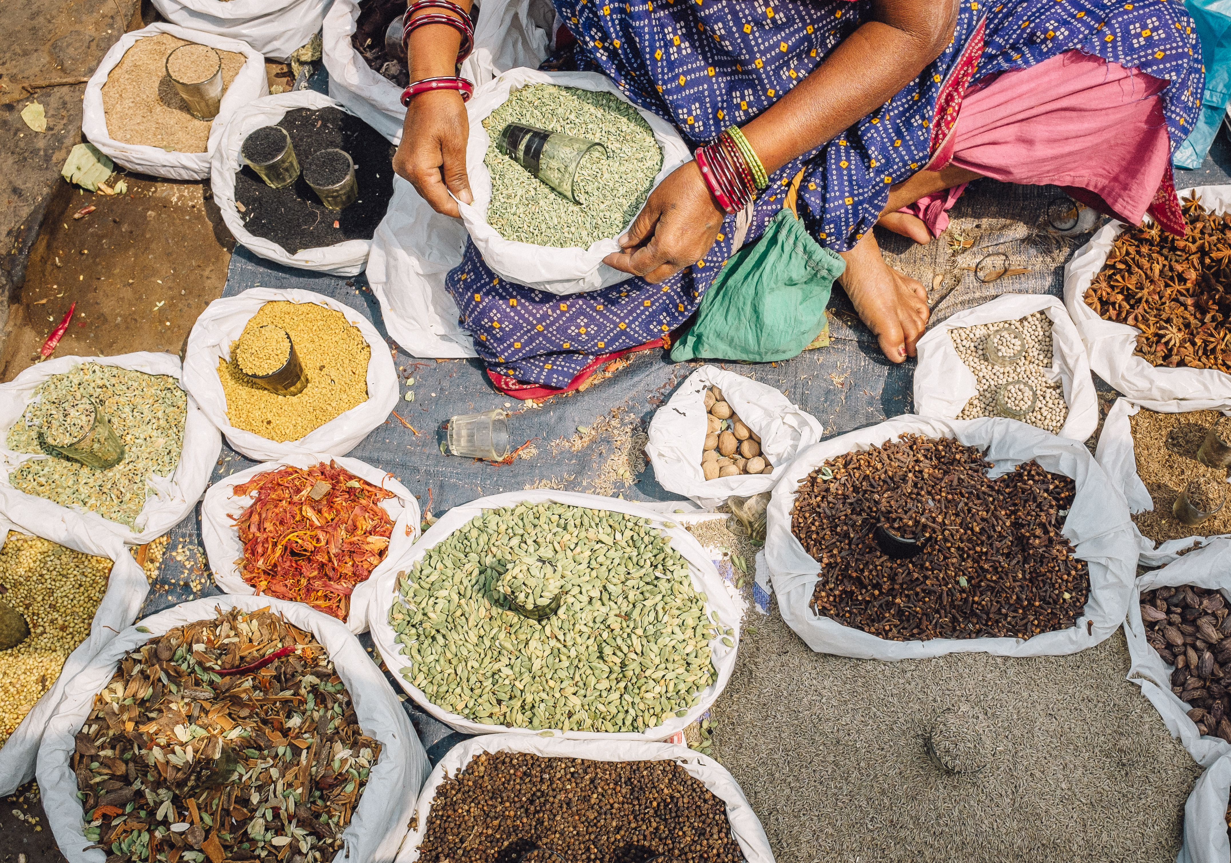 Highlights of Northern India & Nepal