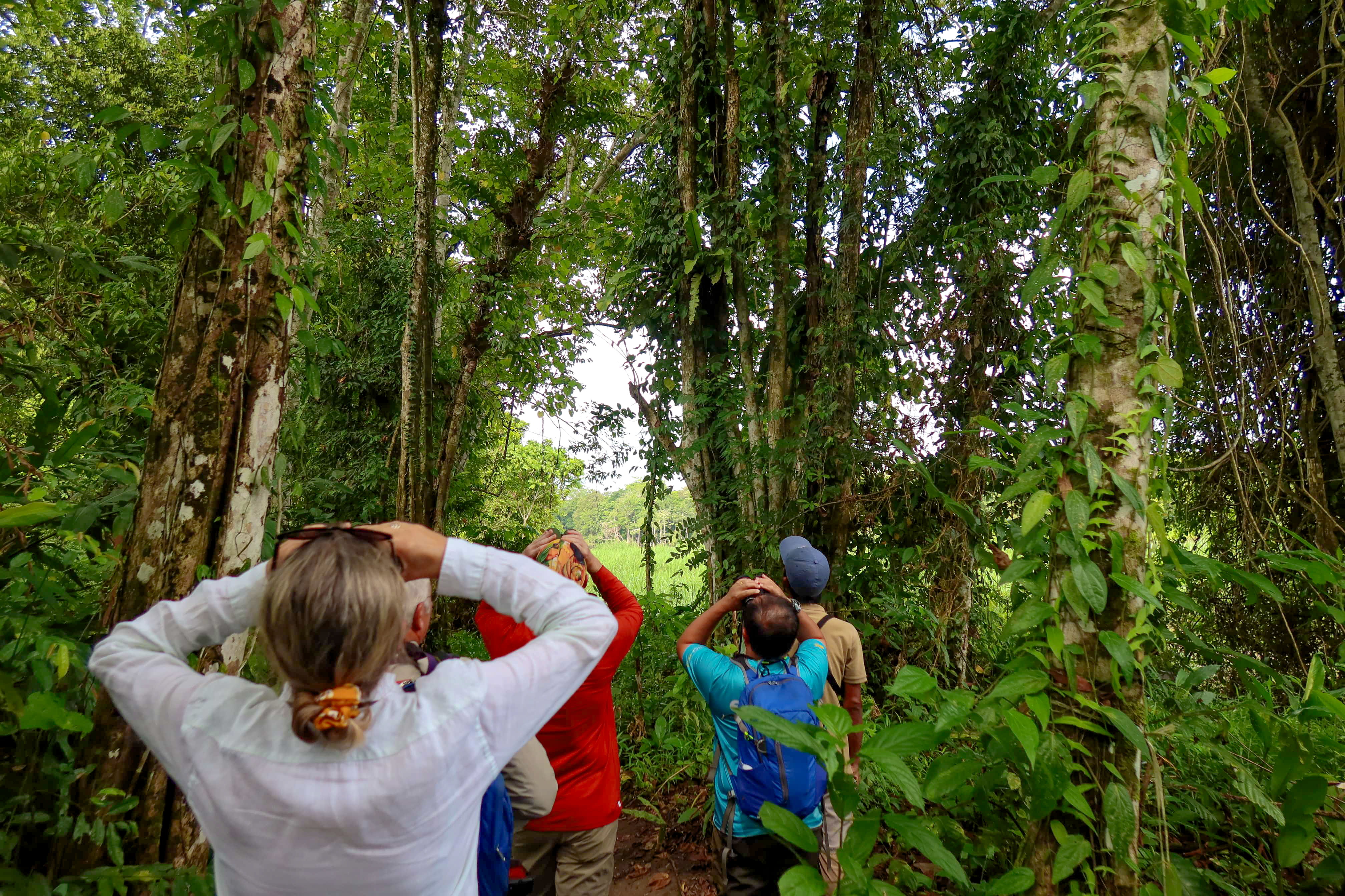 Borneo Family Wildlife Adventure
