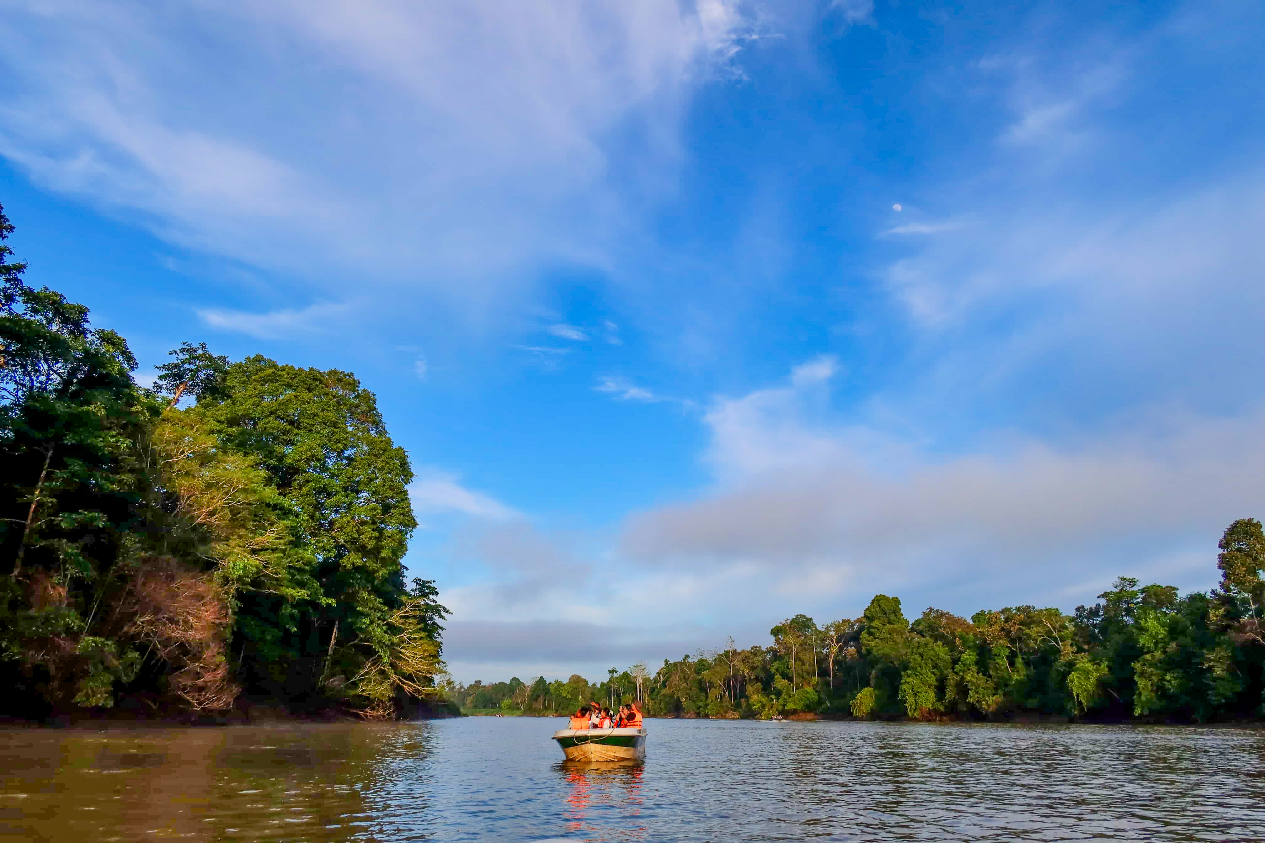 Borneo Wildlife Discoverer