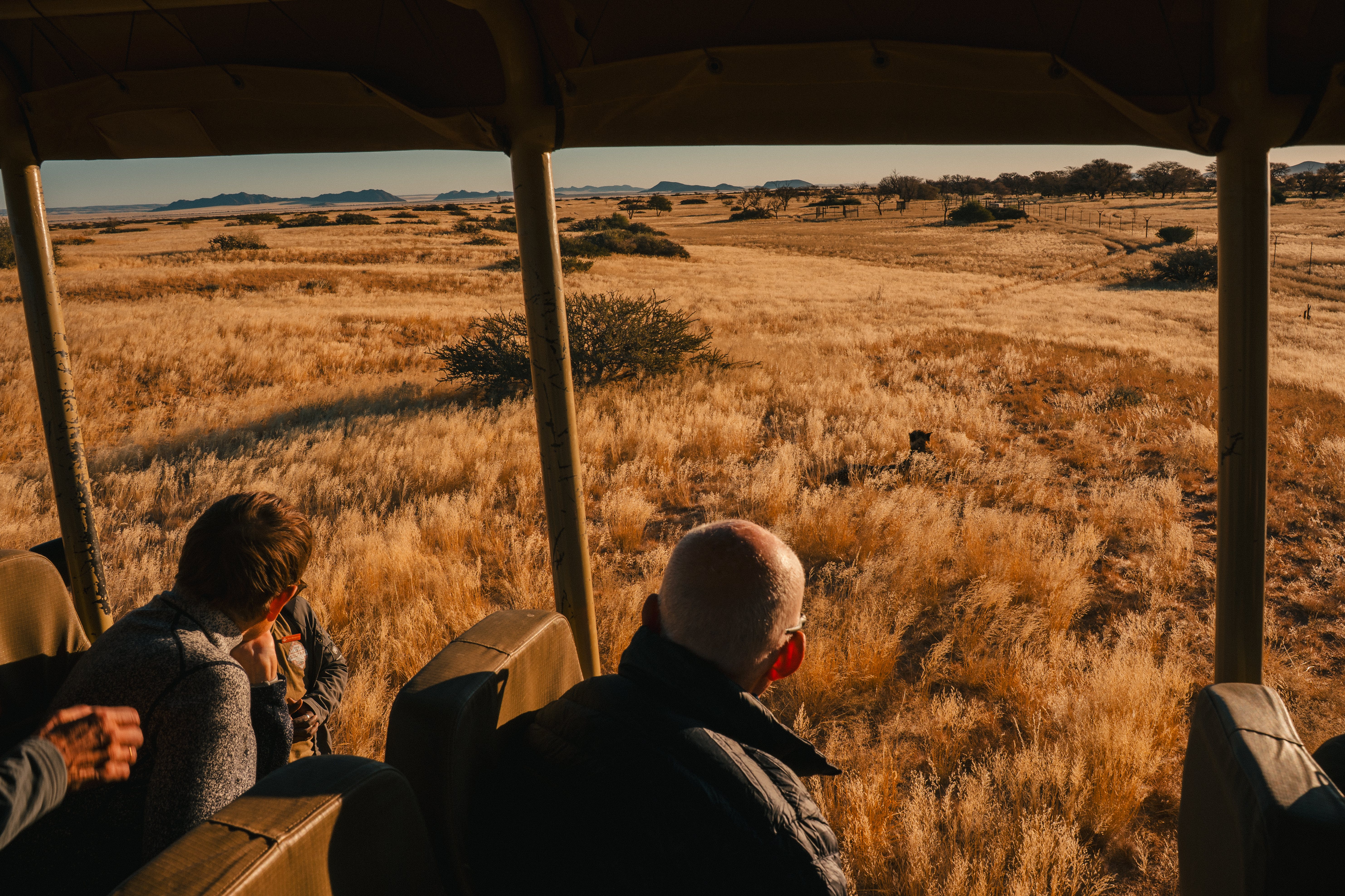 Discover Namibia - Lodges