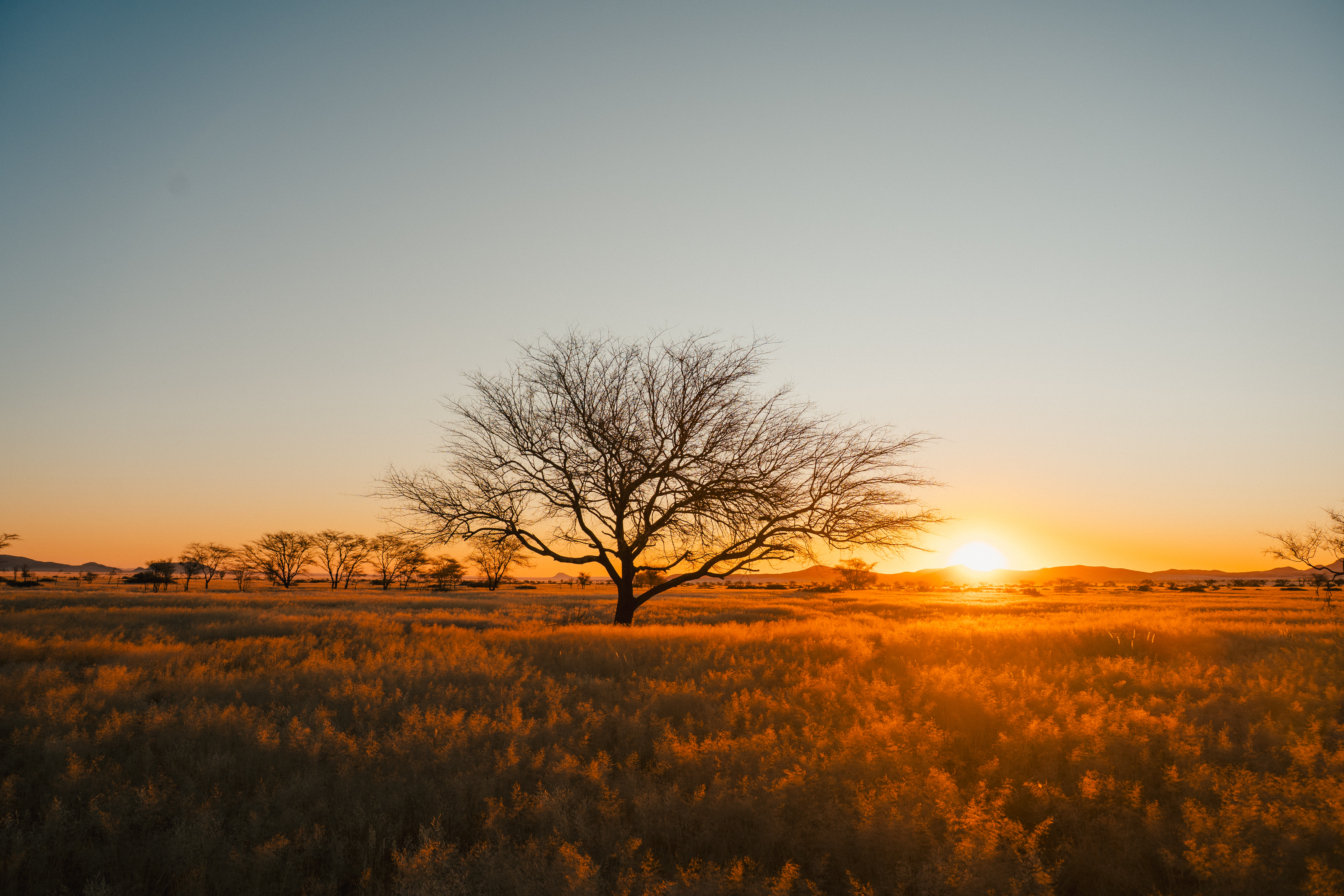 Discover Namibia - Lodges