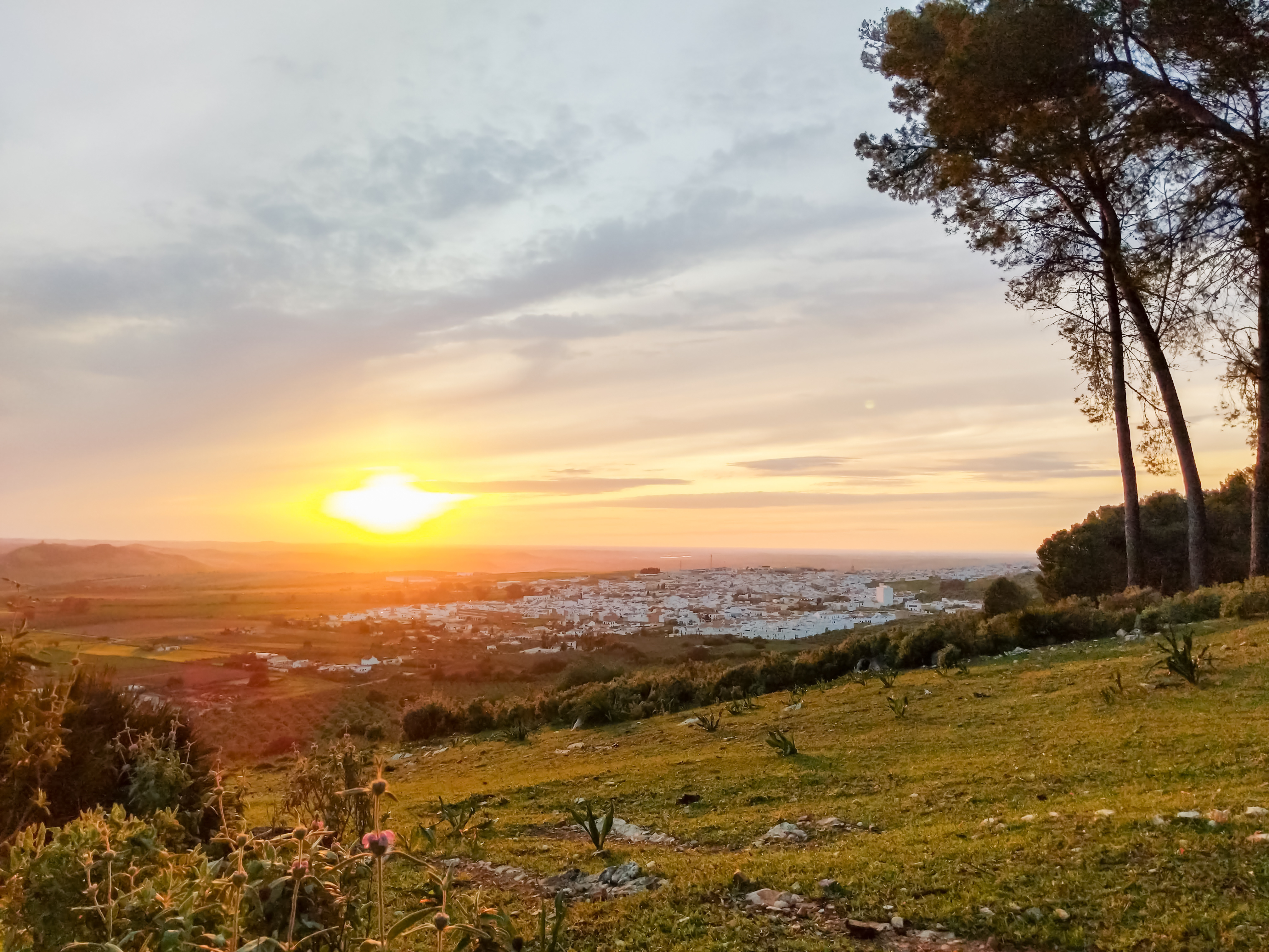 Self-Guided Cycling in Andalucia: Seville to Cadiz