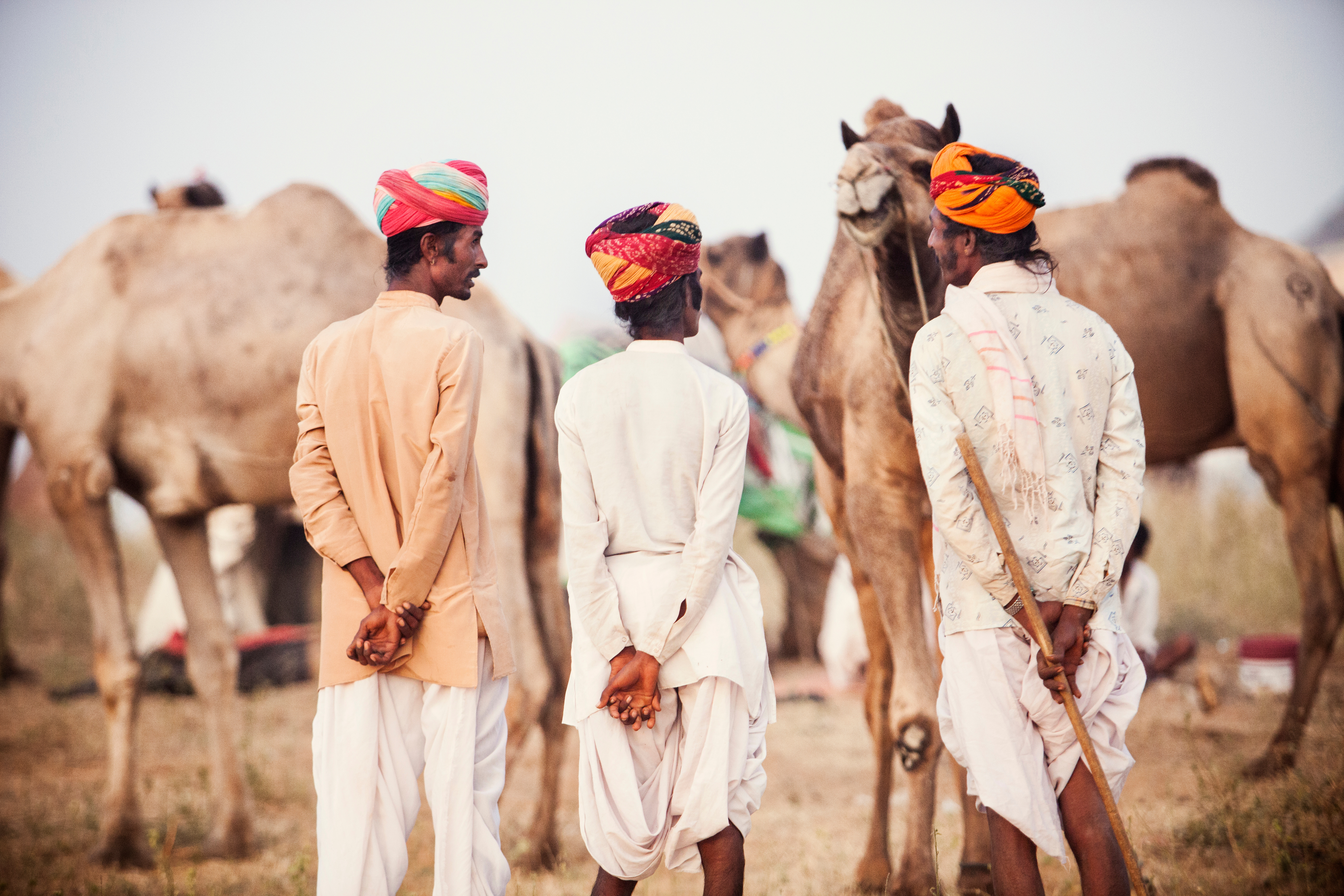 Colours of Rajasthan - Pushkar Festival