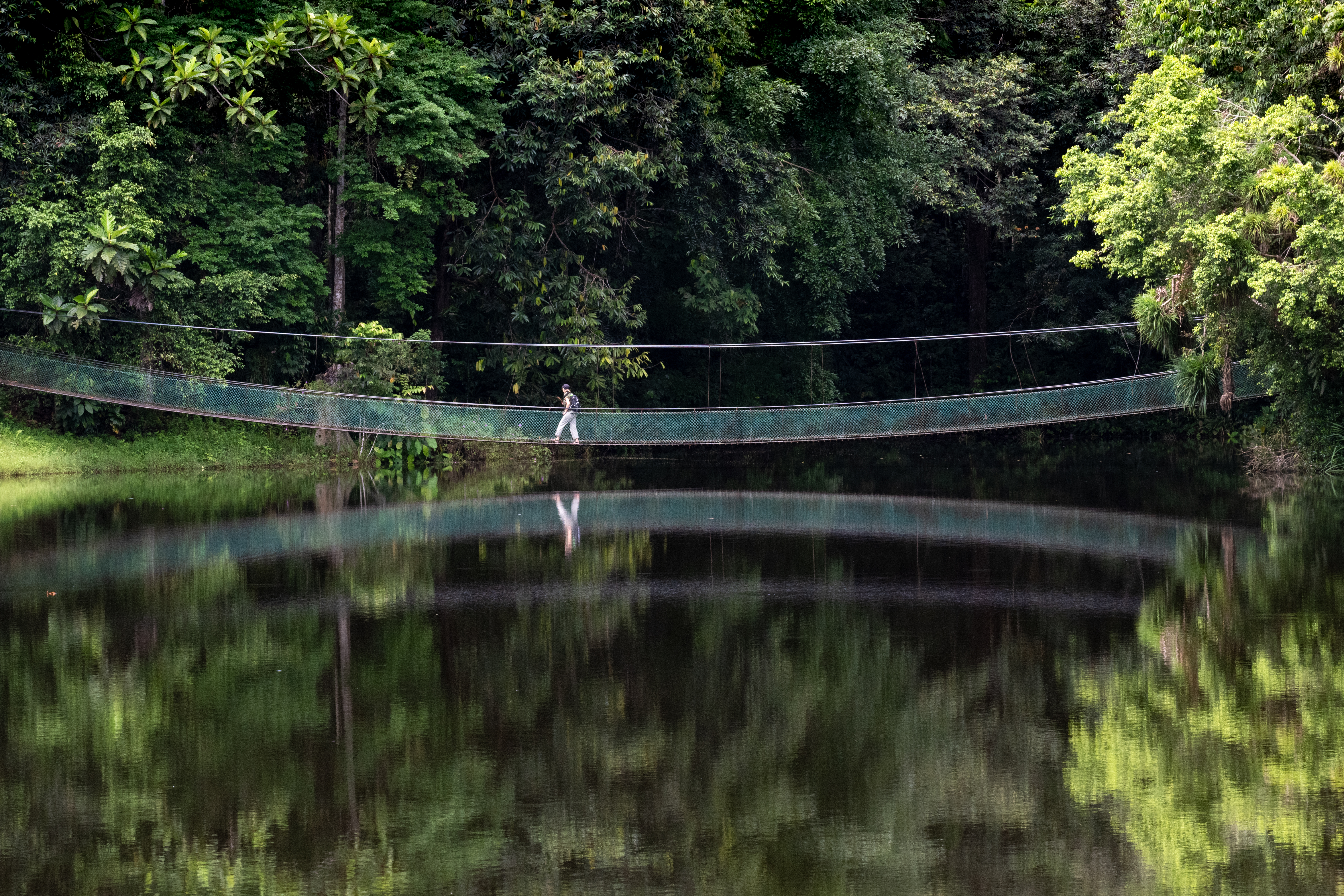 Borneo &amp; the Malaysian Peninsula