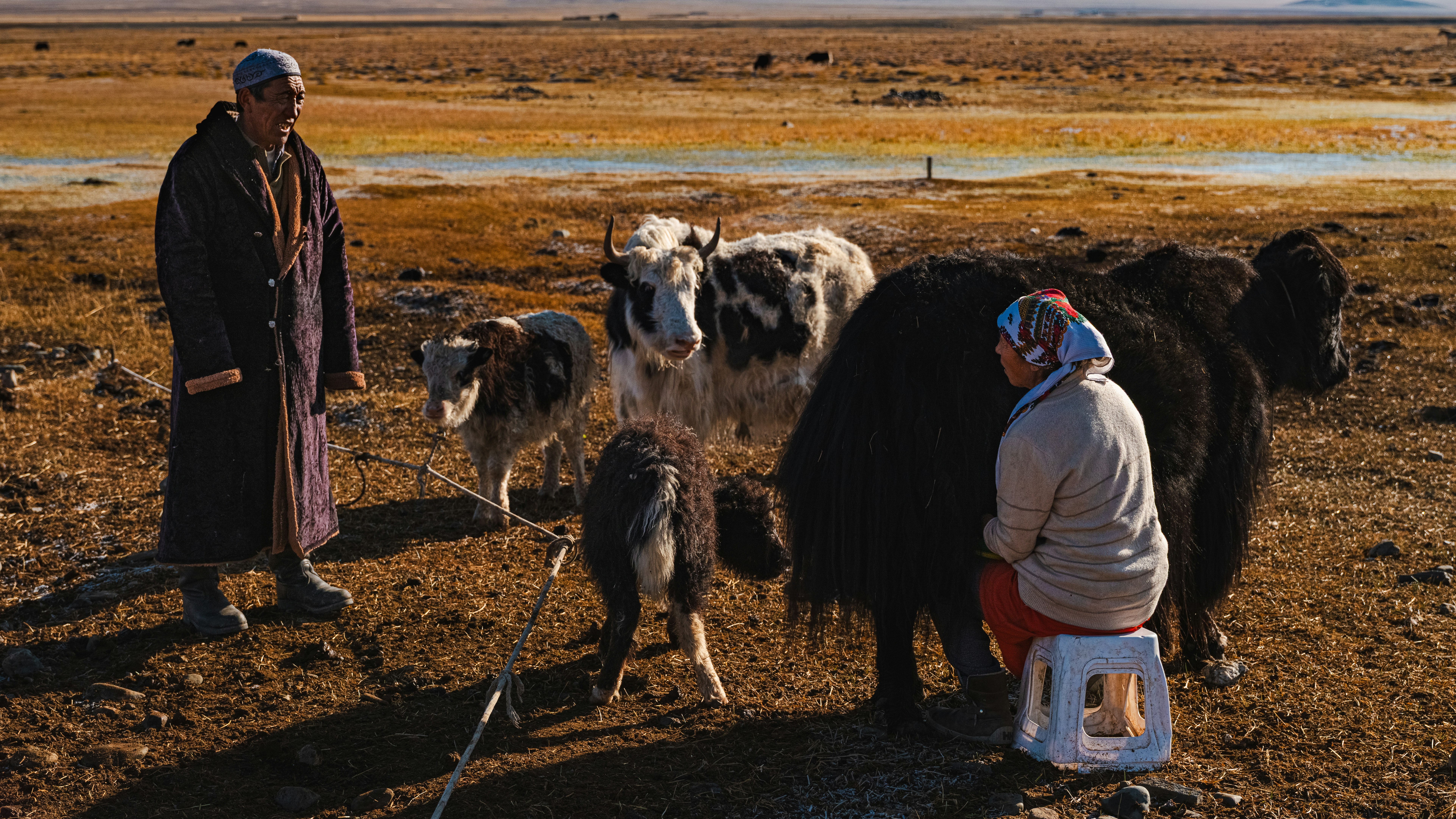 Mongolia Golden Eagle Festival