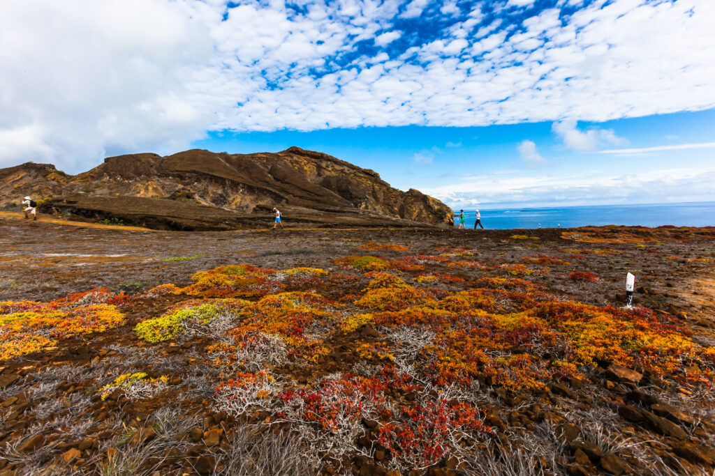 Galapagos Walking Adventure