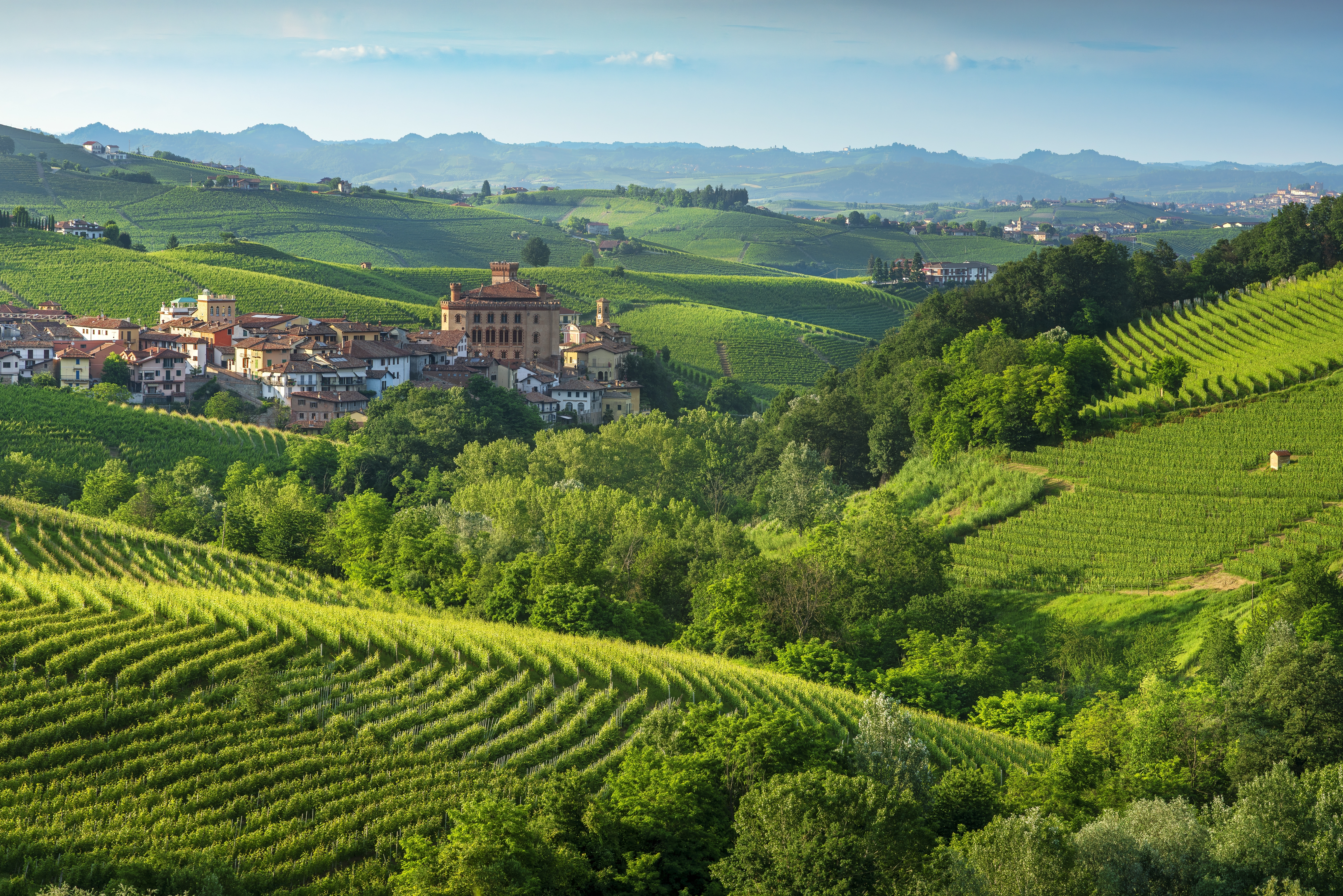Barolo Gastronomic Self-Guided Cycling by E-Bike