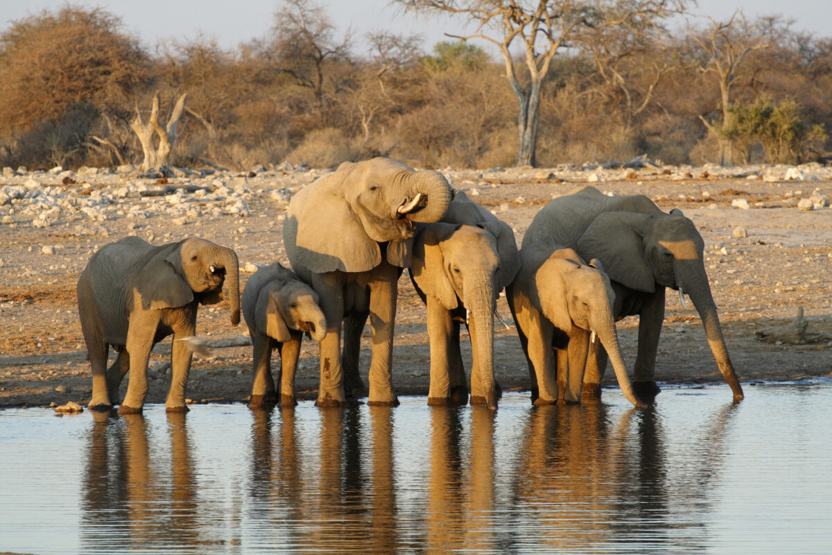 Victoria Falls to Cape Town - Camping