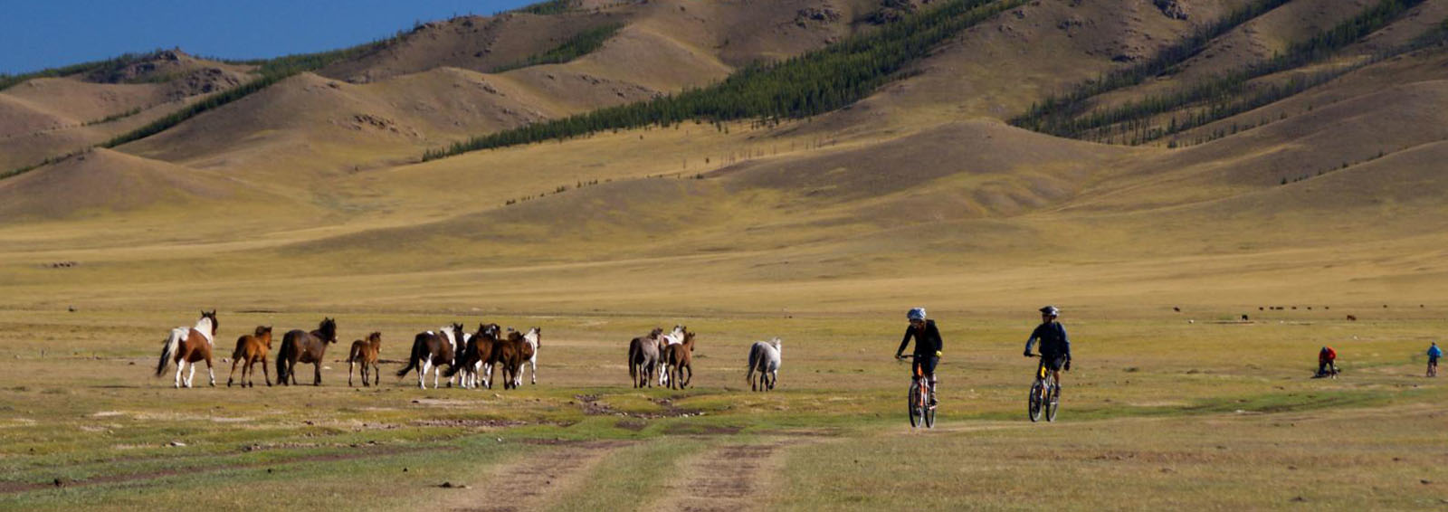Cycling in Mongolia - Naadam Festival