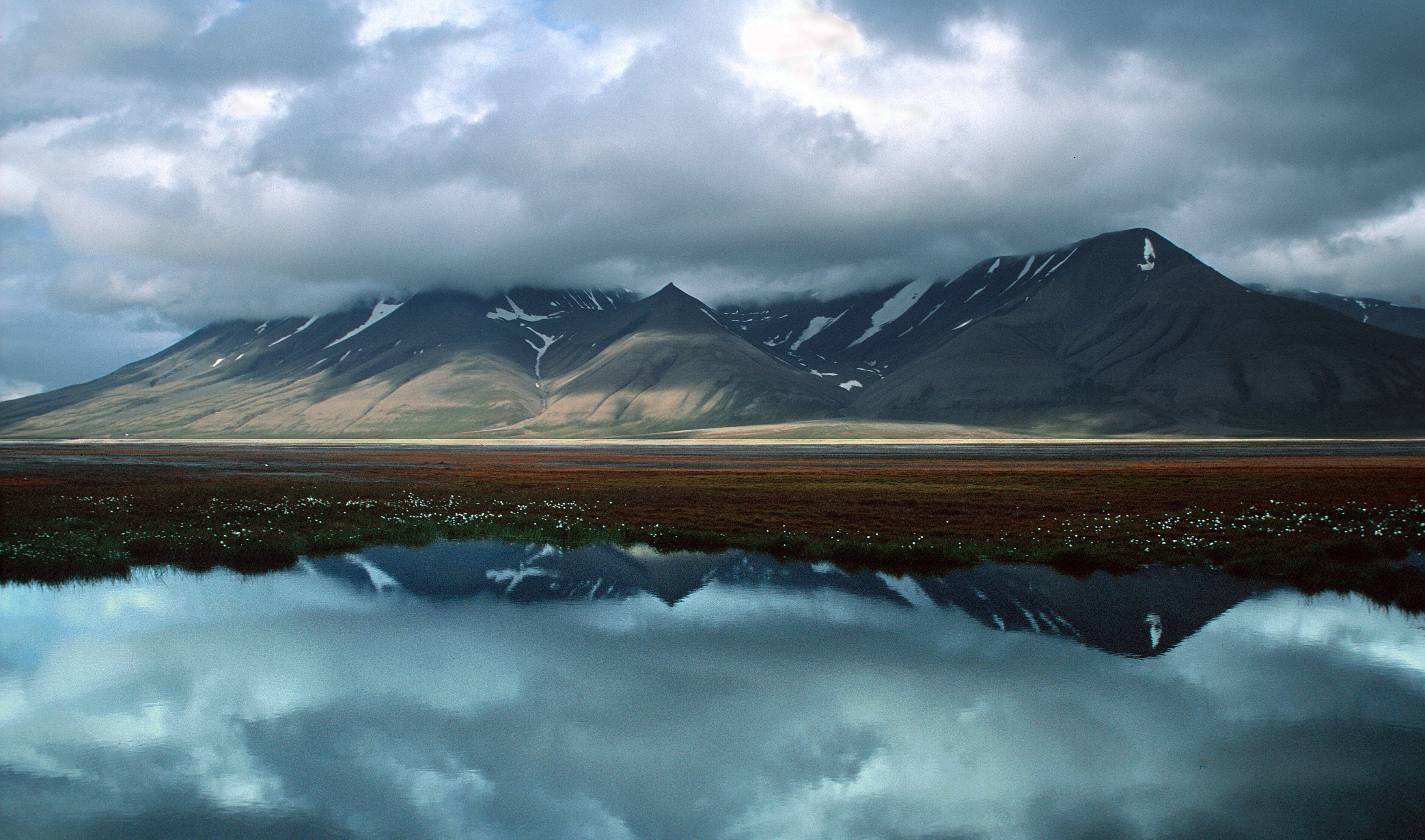 Three Arctic Islands: Iceland, Greenland, Spitsbergen