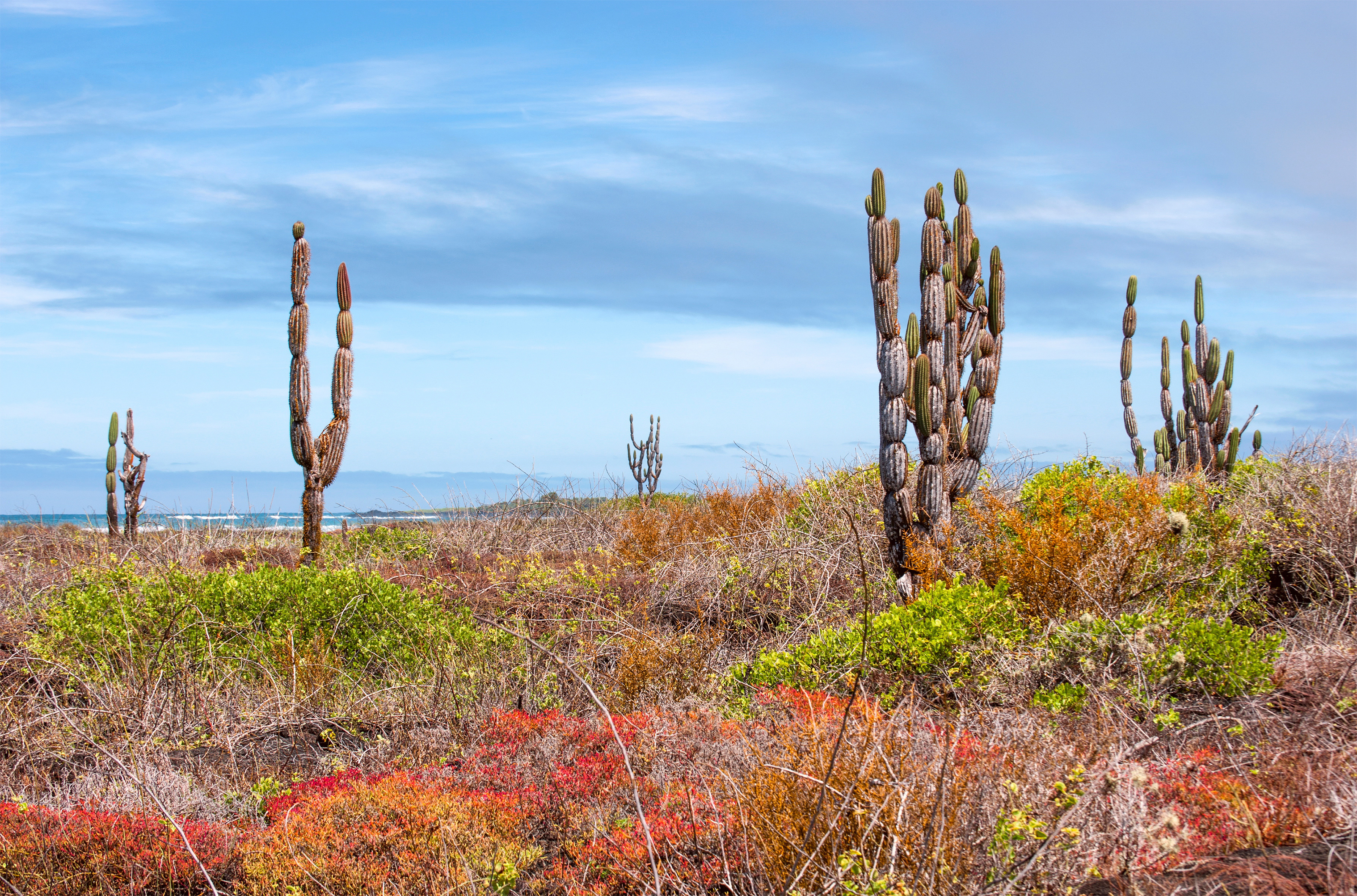 Galapagos Walking Adventure