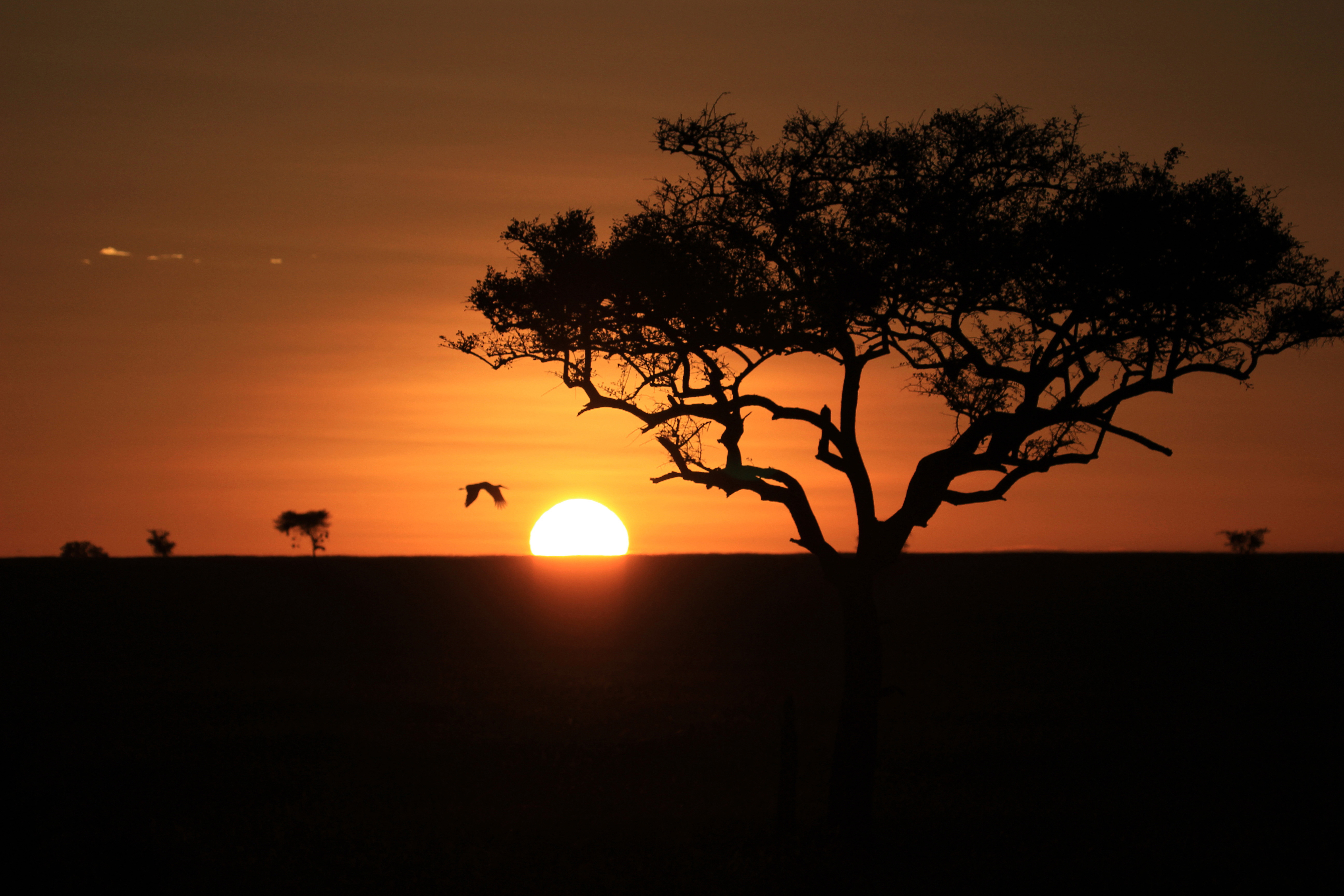 Kenya & Tanzania Adventure