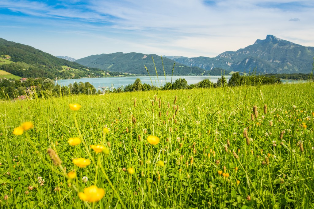 Self-Guided Walking in Austria's Lake District