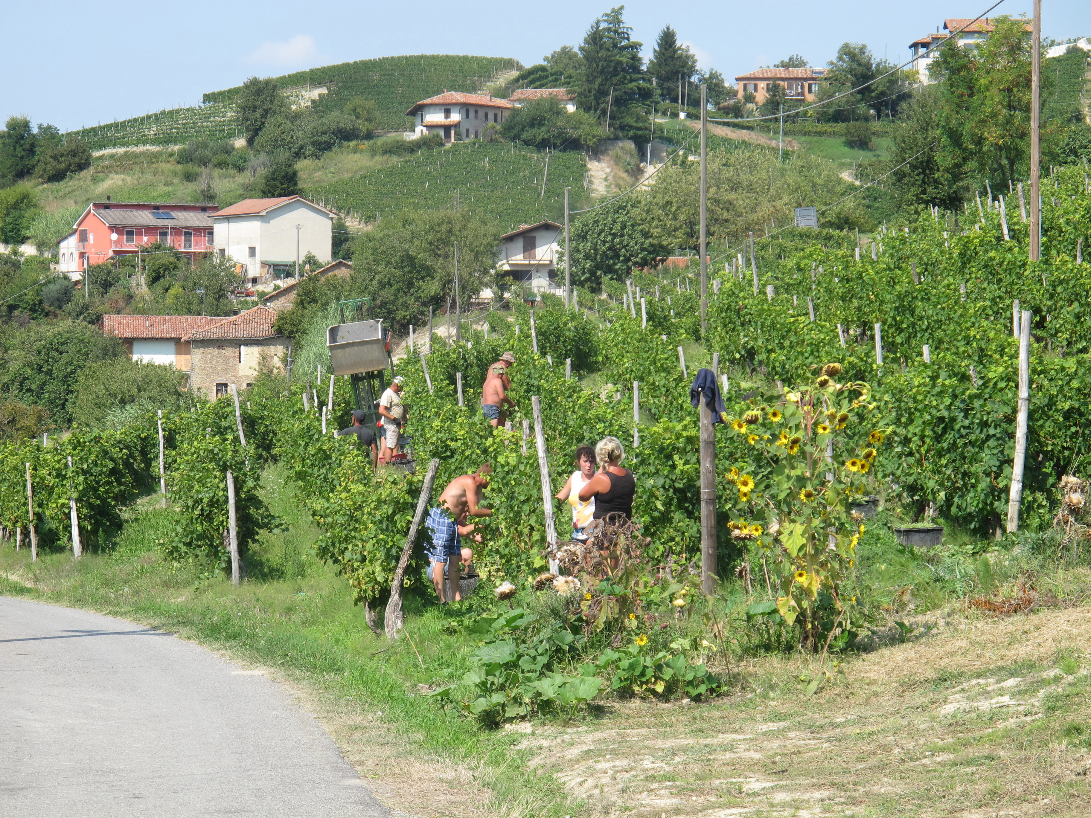 Barolo Gastronomic Cycling by E-Bike
