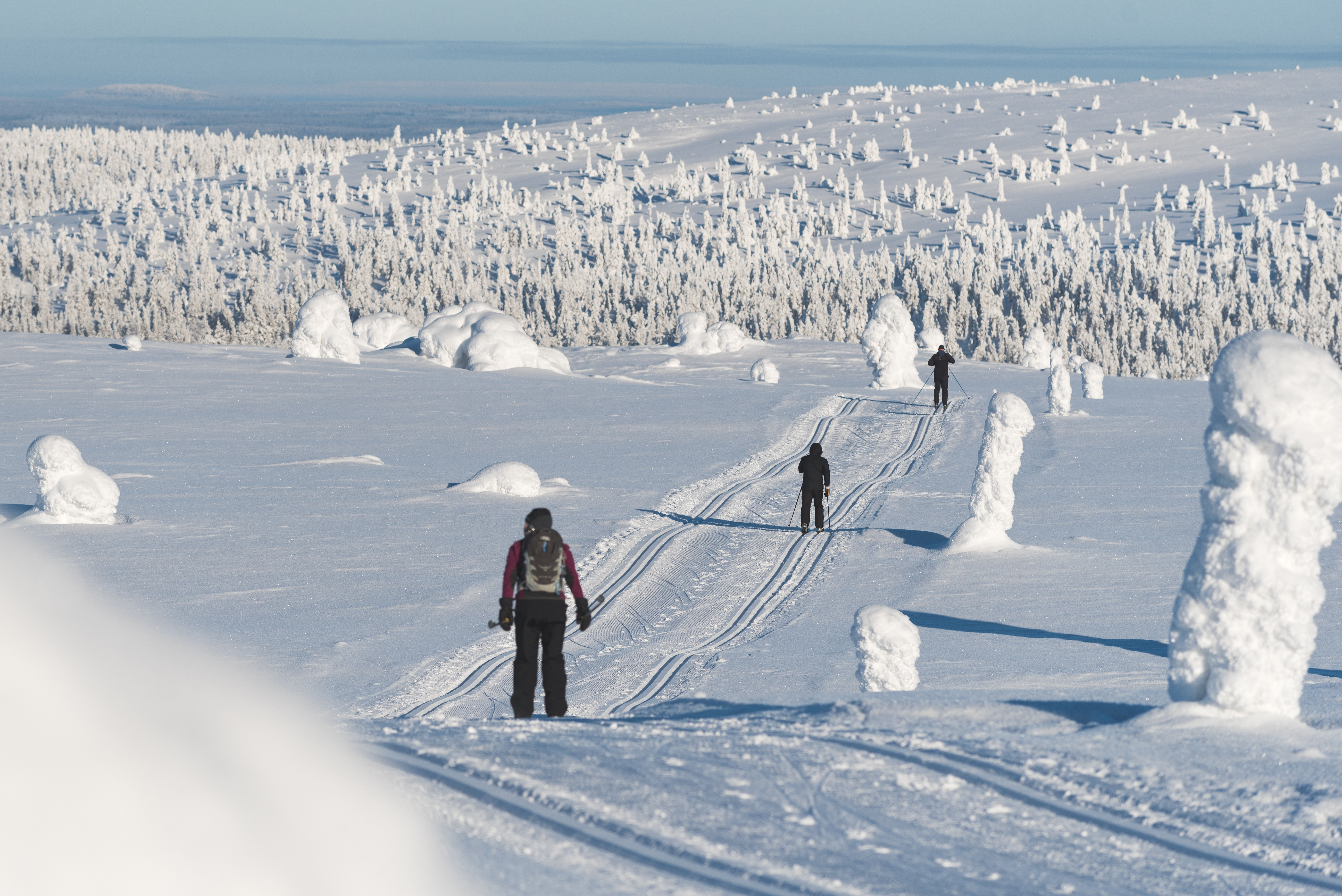 Cross-Country Skiing in Lapland