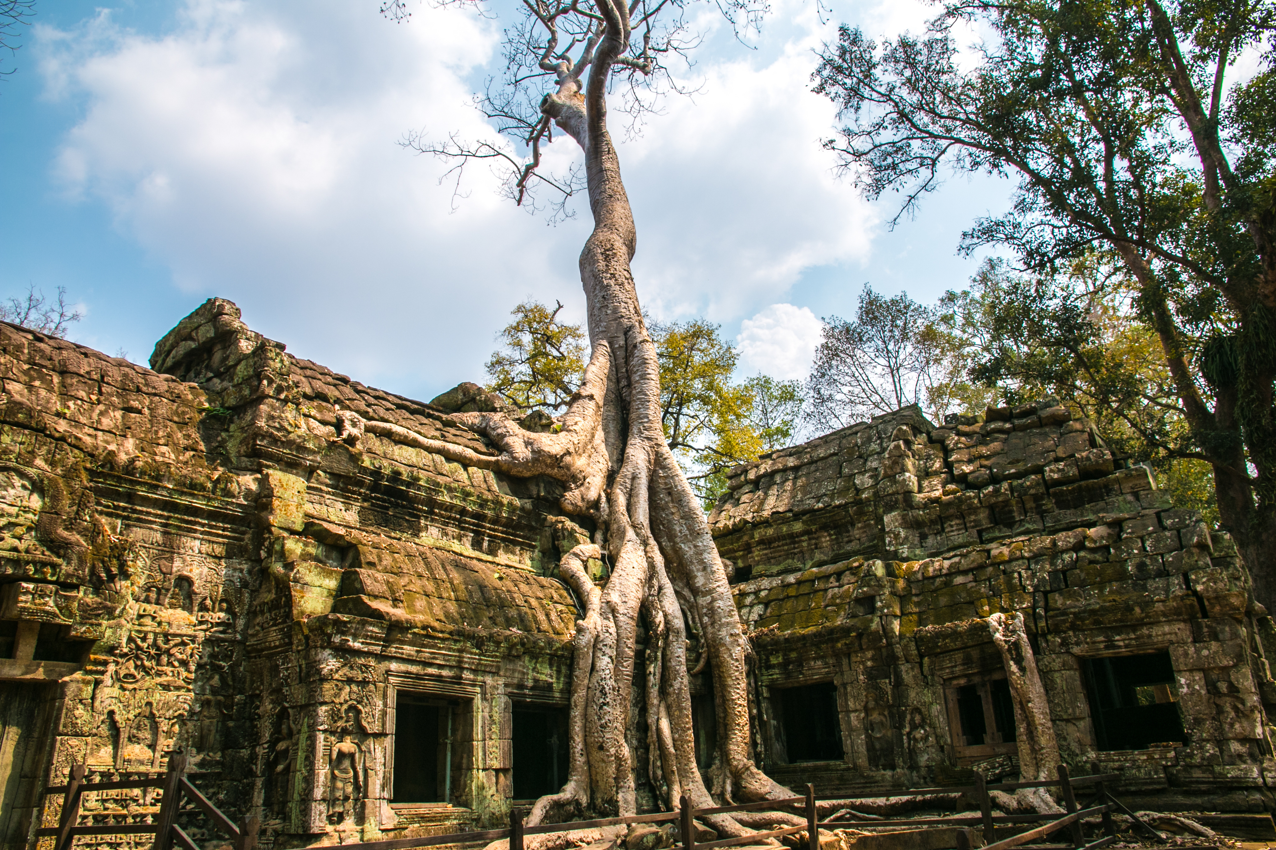 Angkor Wat Add-on Tour (from Ho Chi Minh City)
