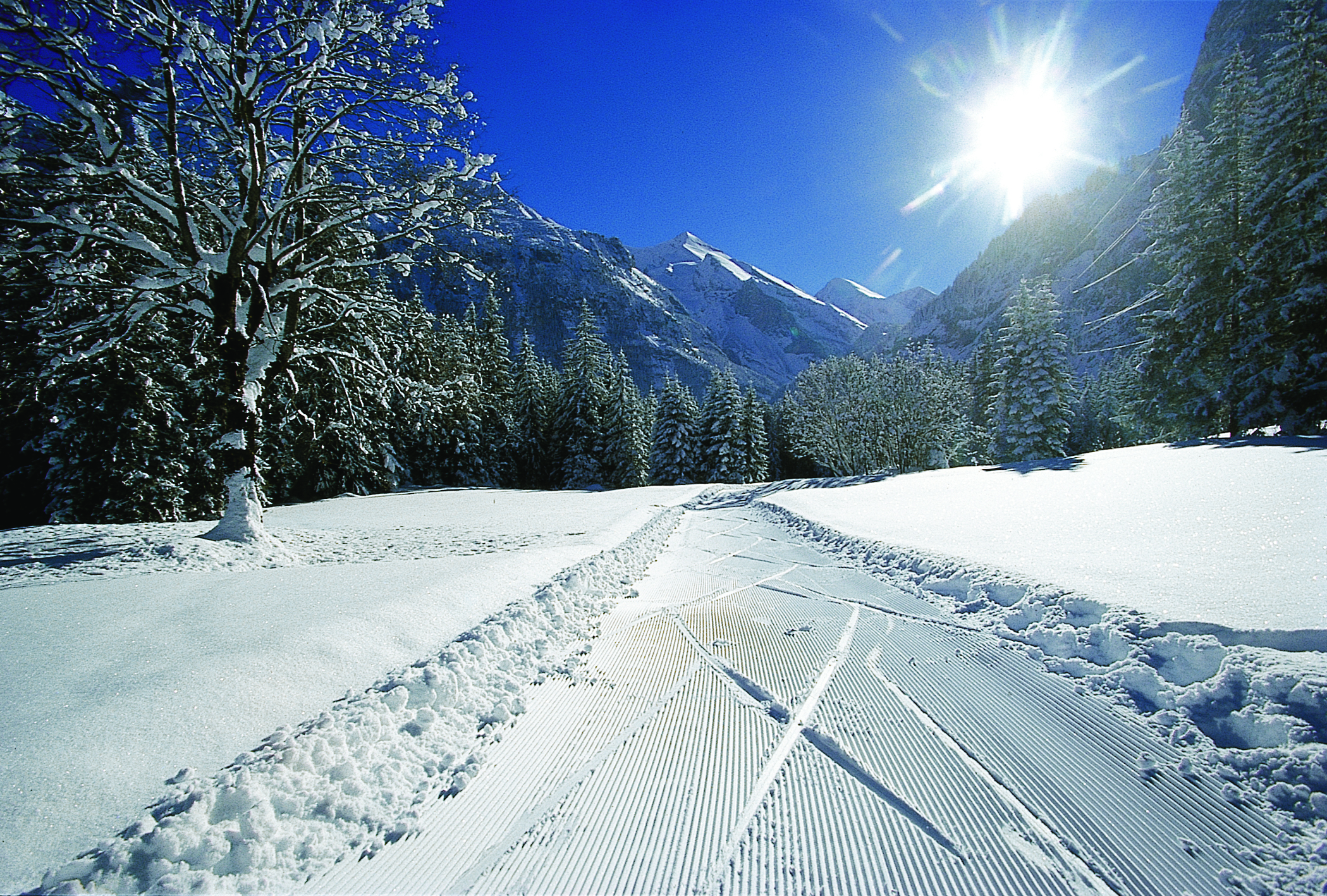 Cross-country Skiing in Kandersteg