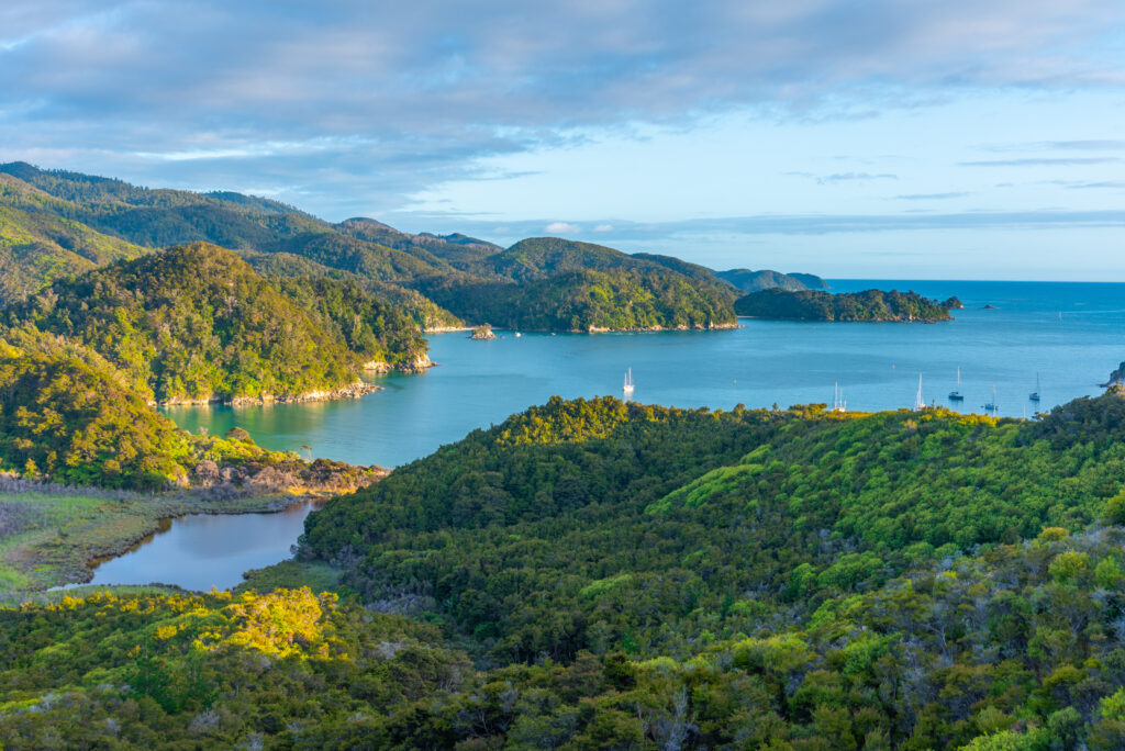 Discover New Zealand