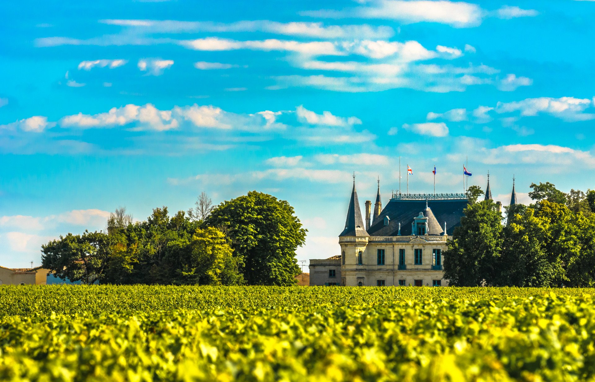 Cycling The Grand Crus of Bordeaux