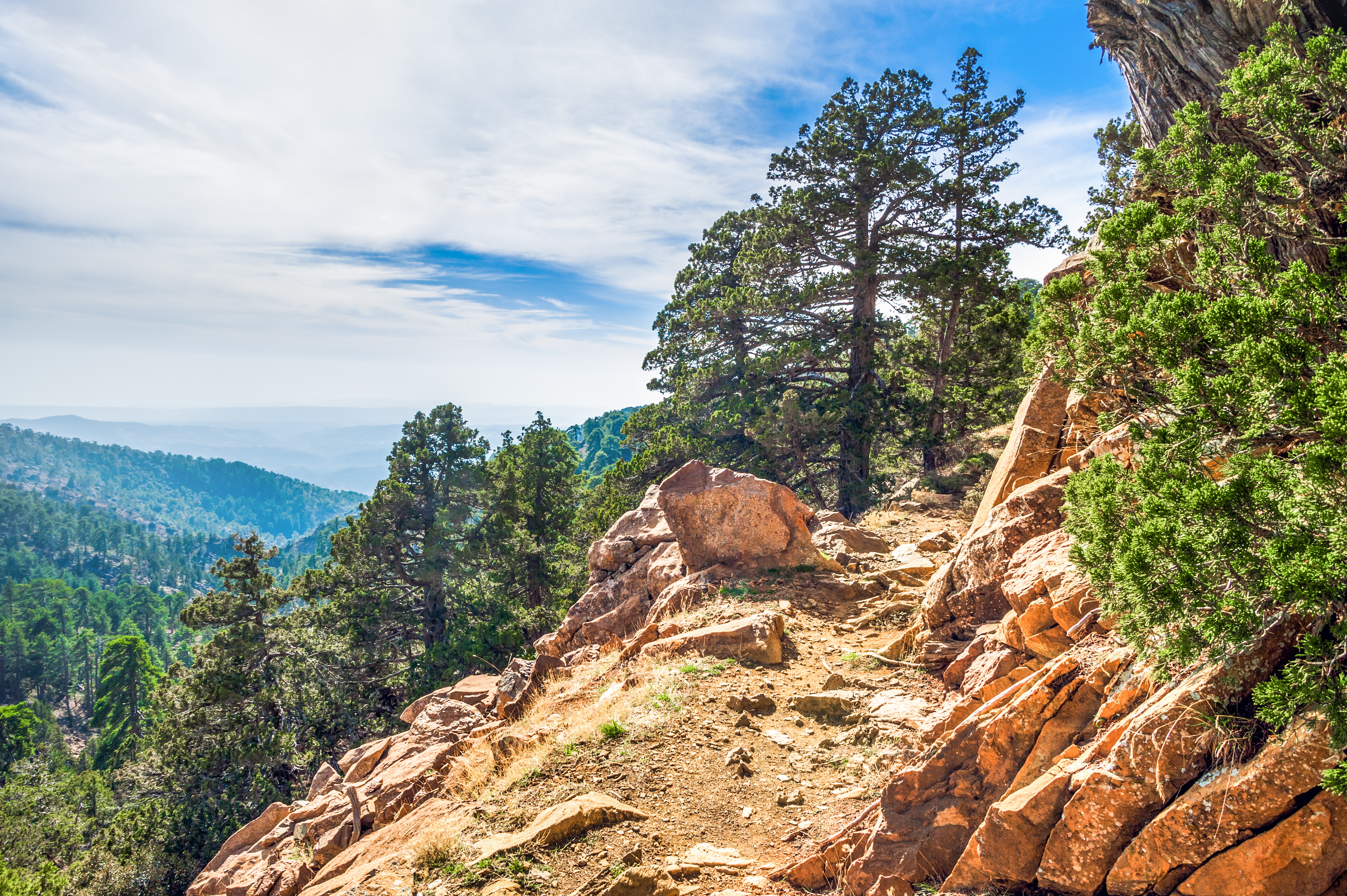 Contrasts of Cyprus Walking