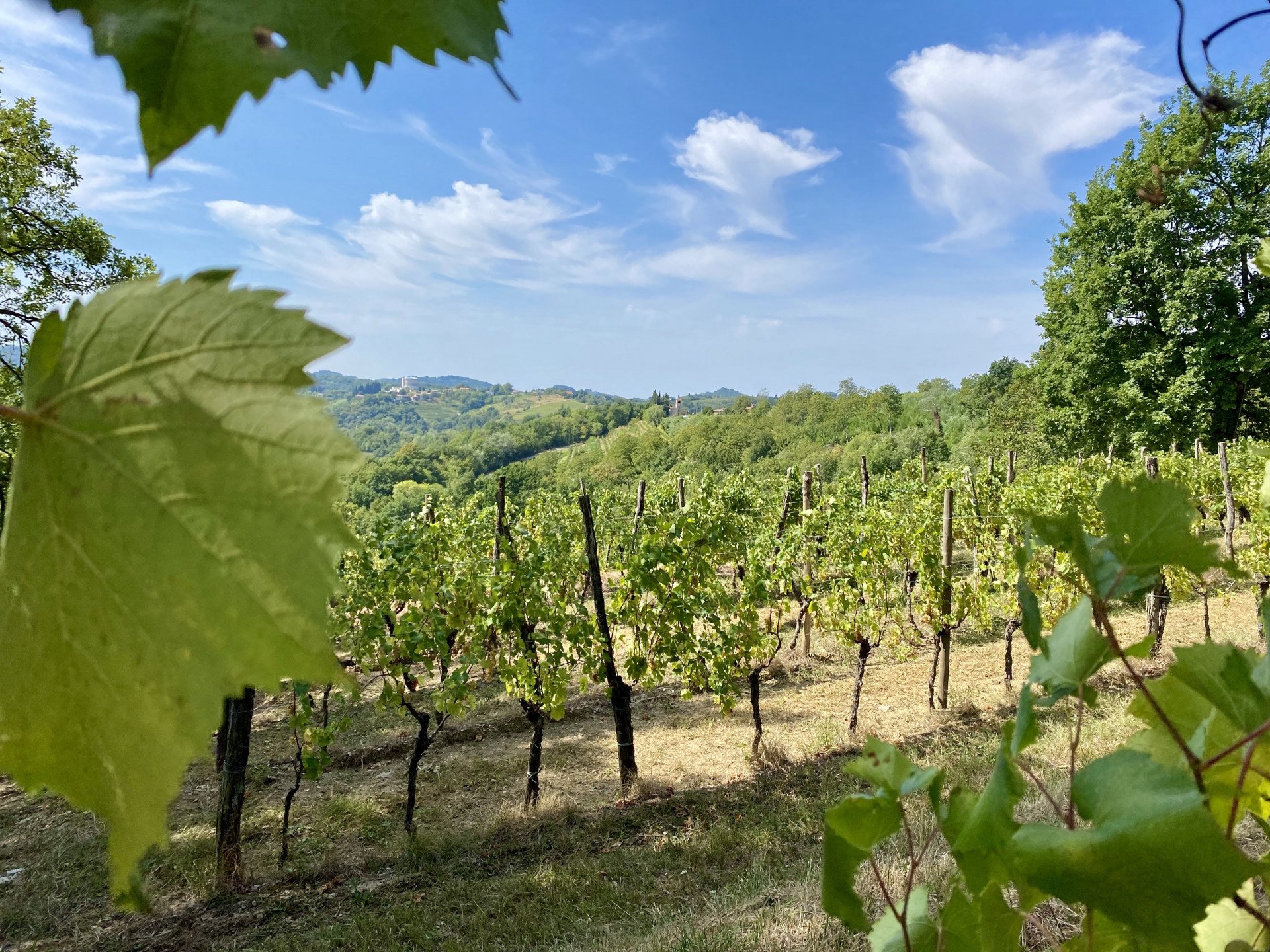 Secrets of Slovenia Cycling