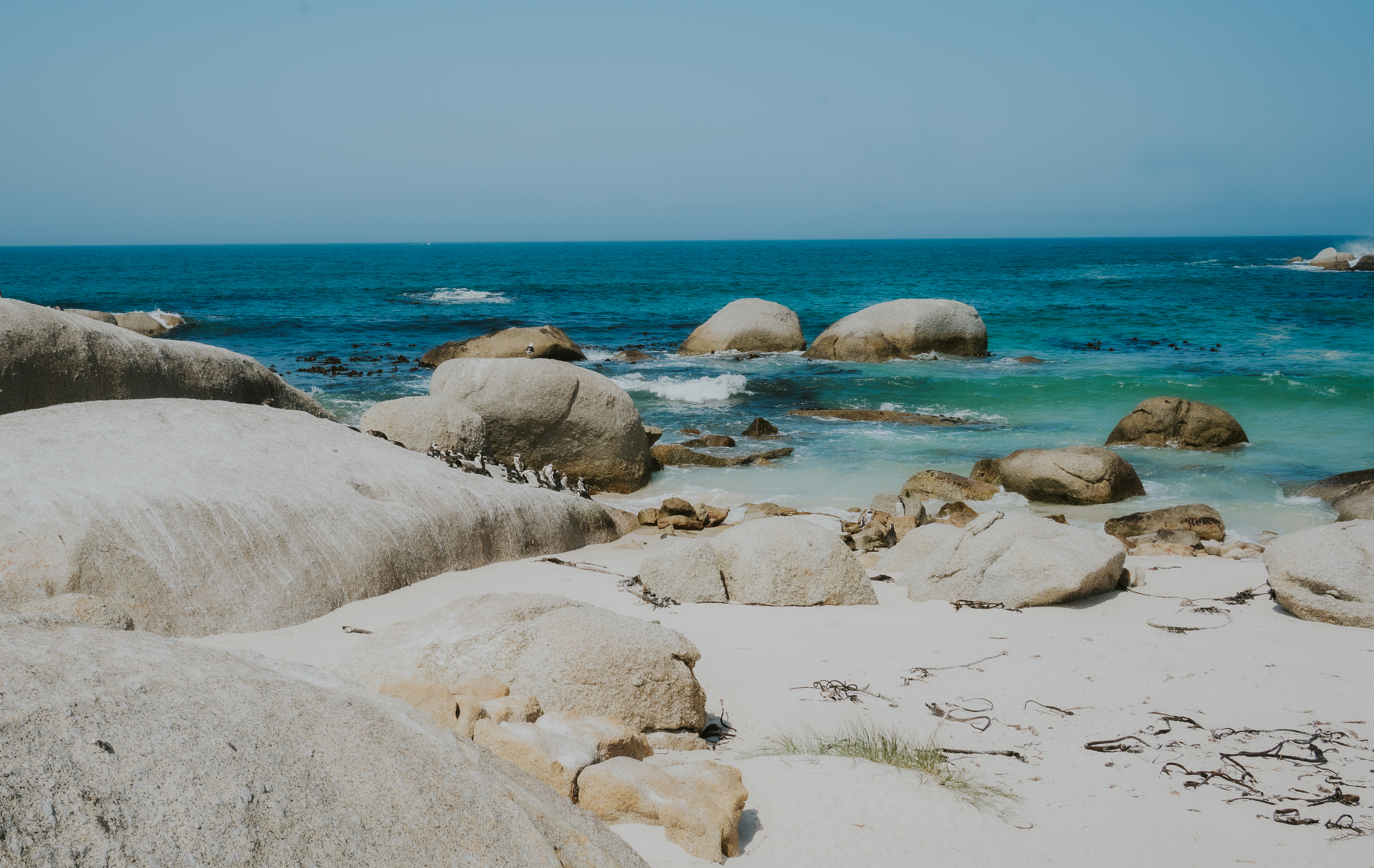 Cape Town and the Garden Route - Premium Adventure