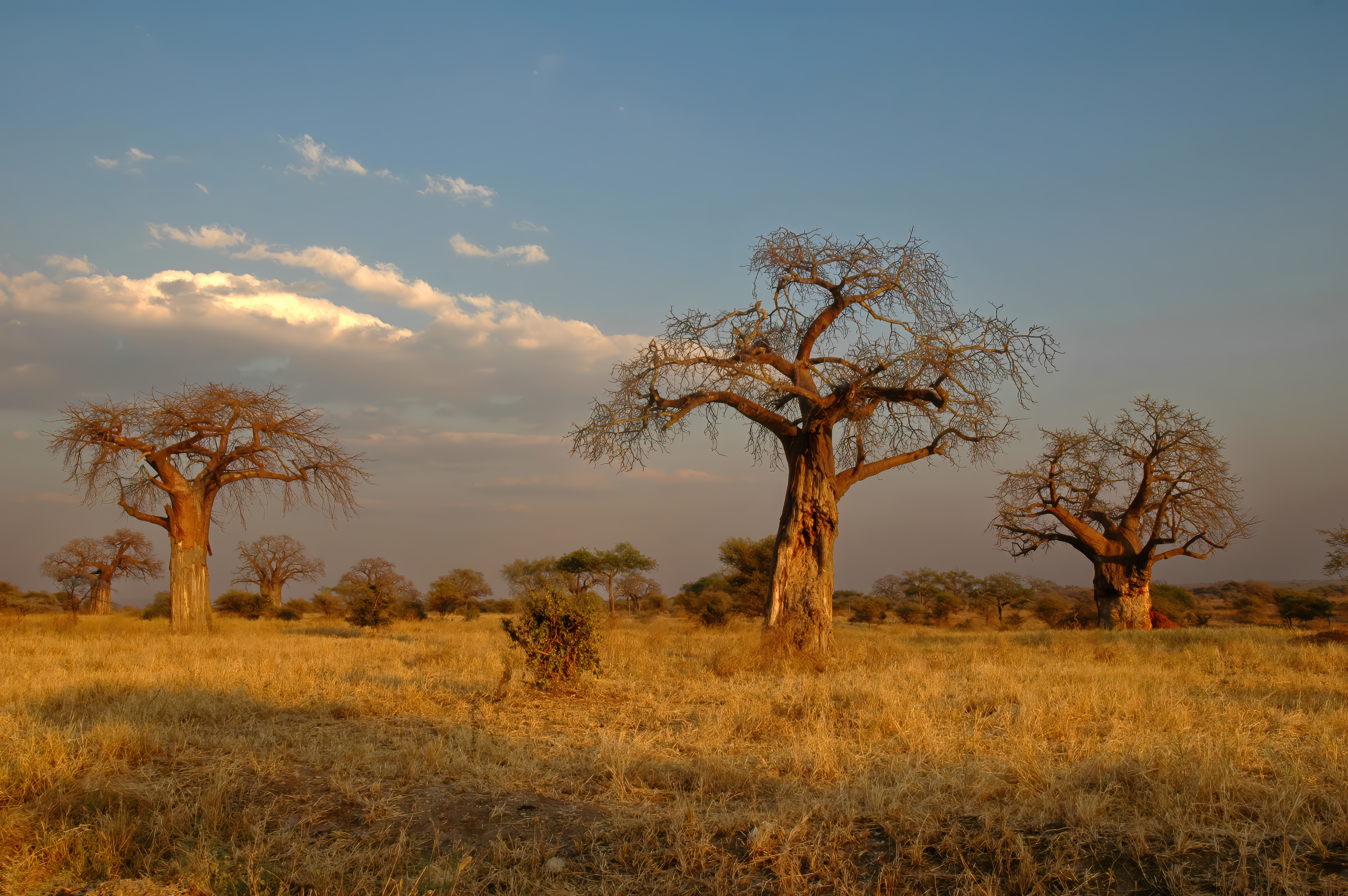 Safari Add-on Tour after Rongai Route