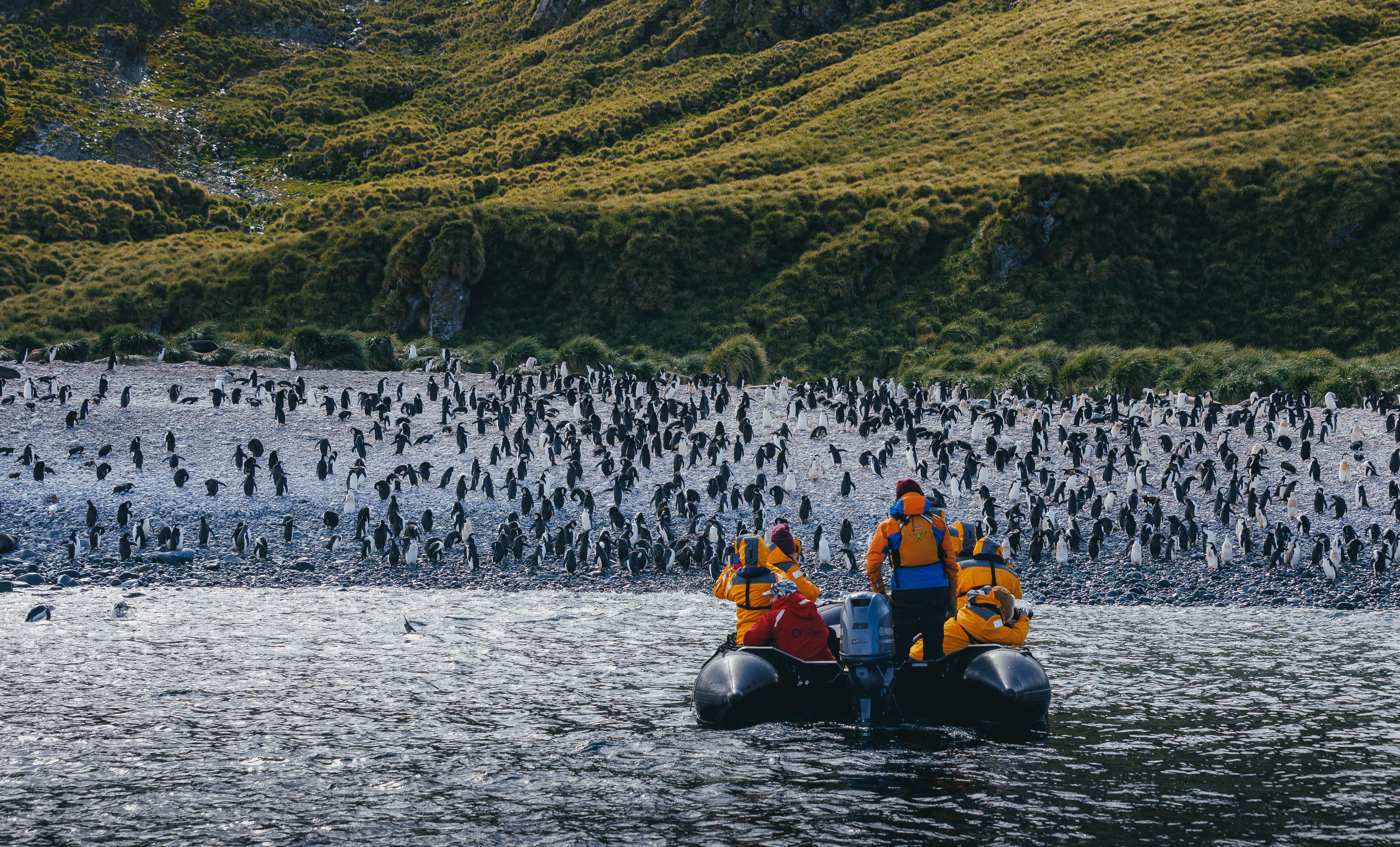 Antarctic Express: Fly the Drake