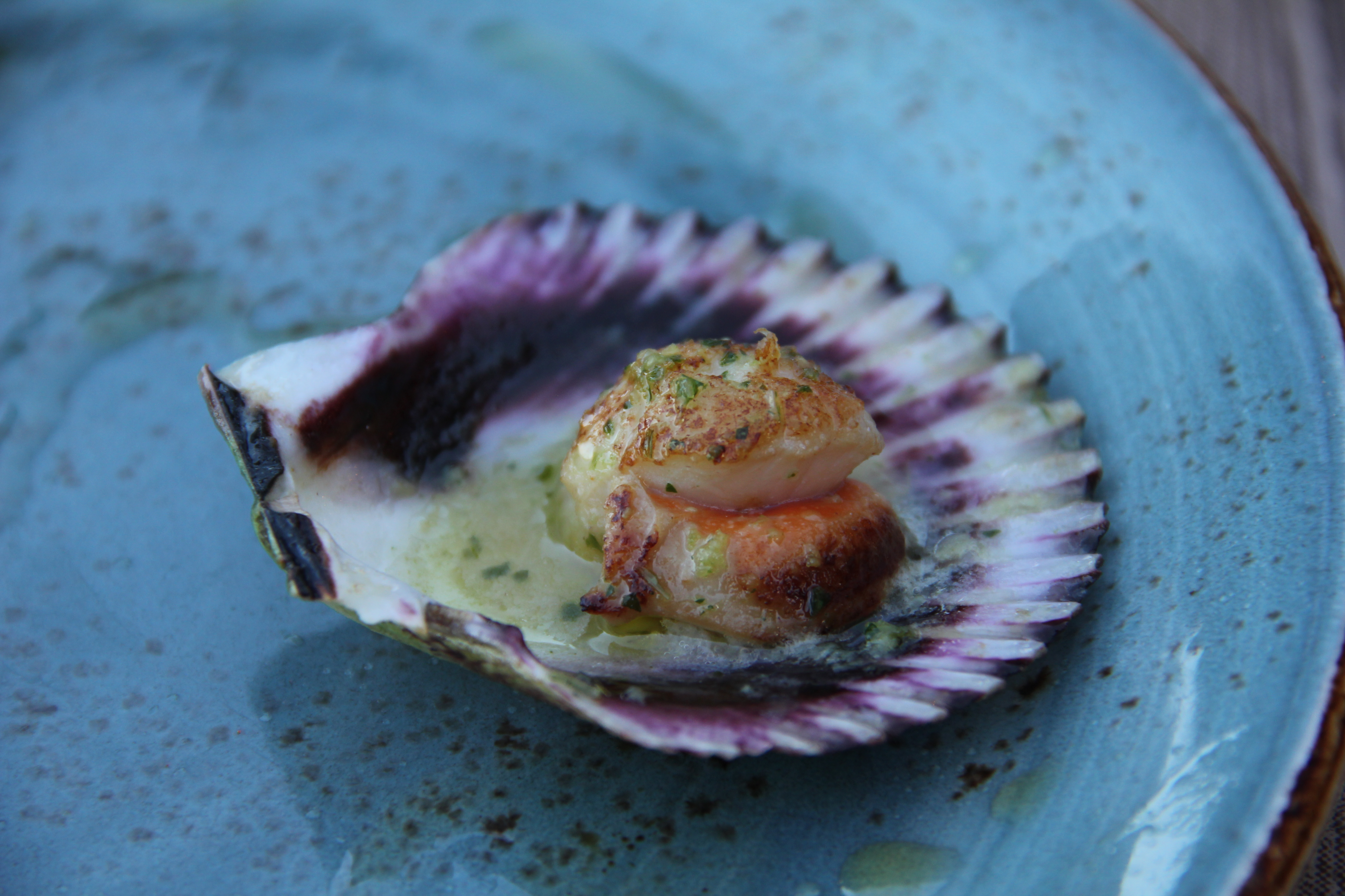 Portuguese Camino Highlights Walk