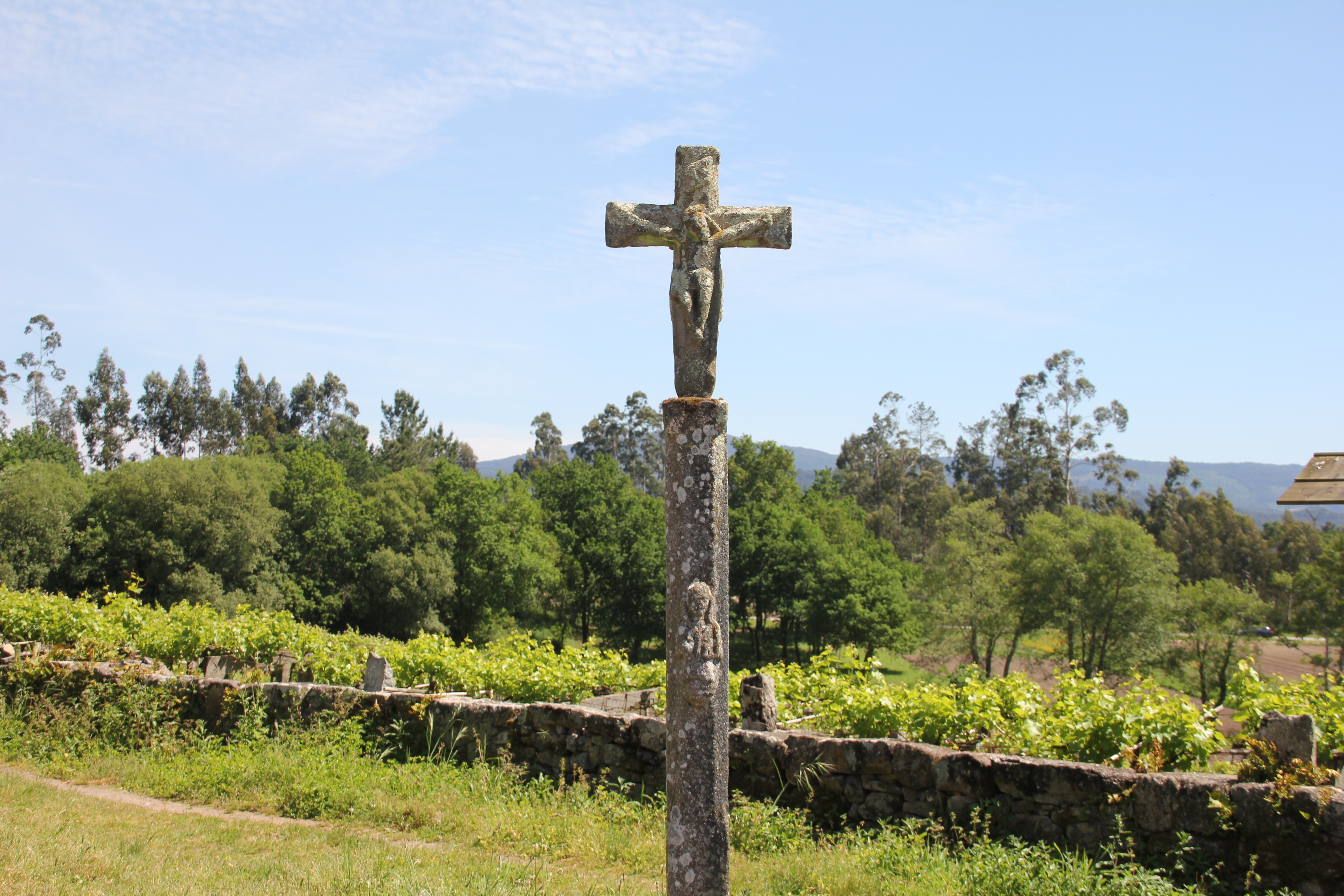 Portuguese Camino Highlights Walk