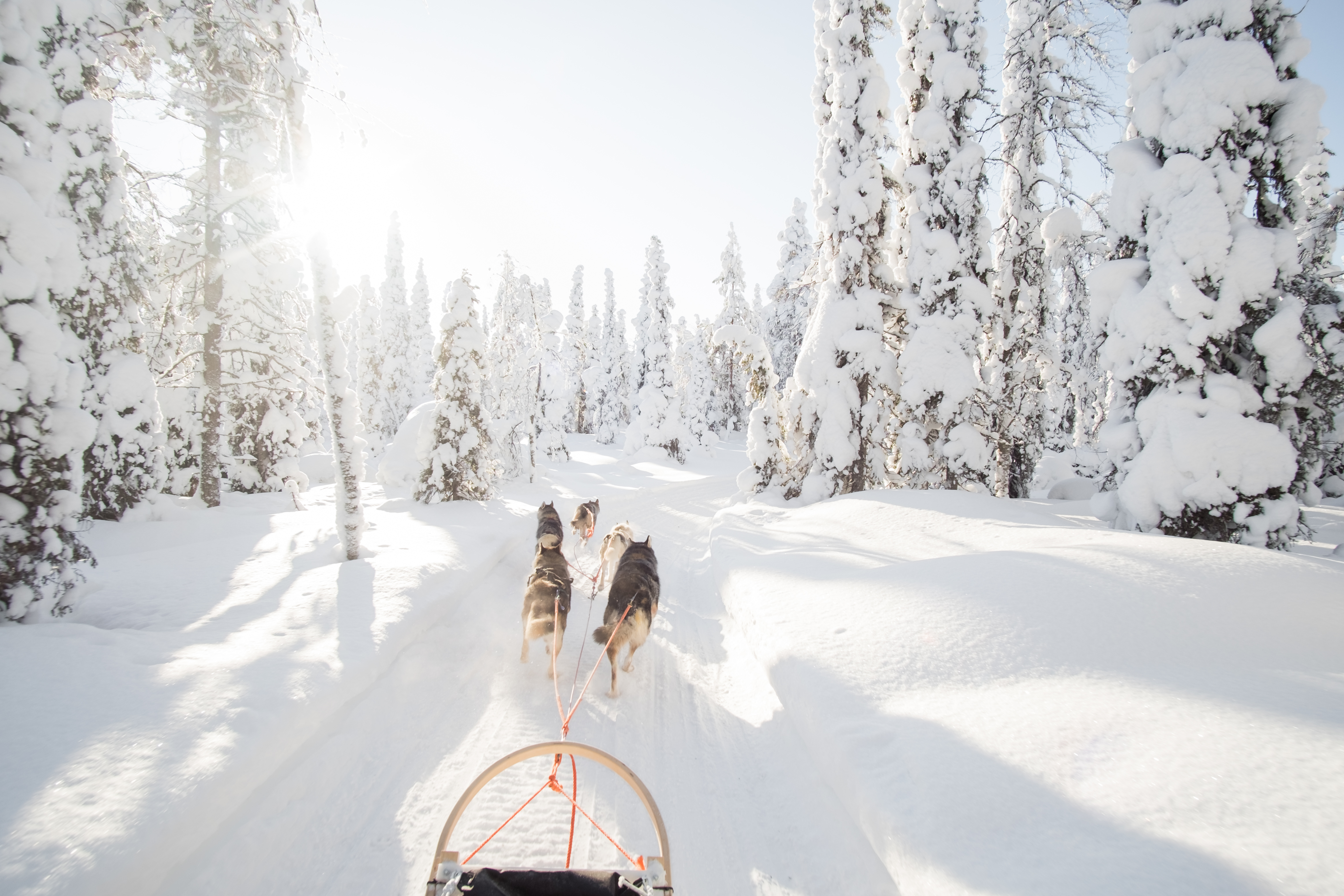 5 Magical Winter Adventures That Capture the Spirit of Hygge 