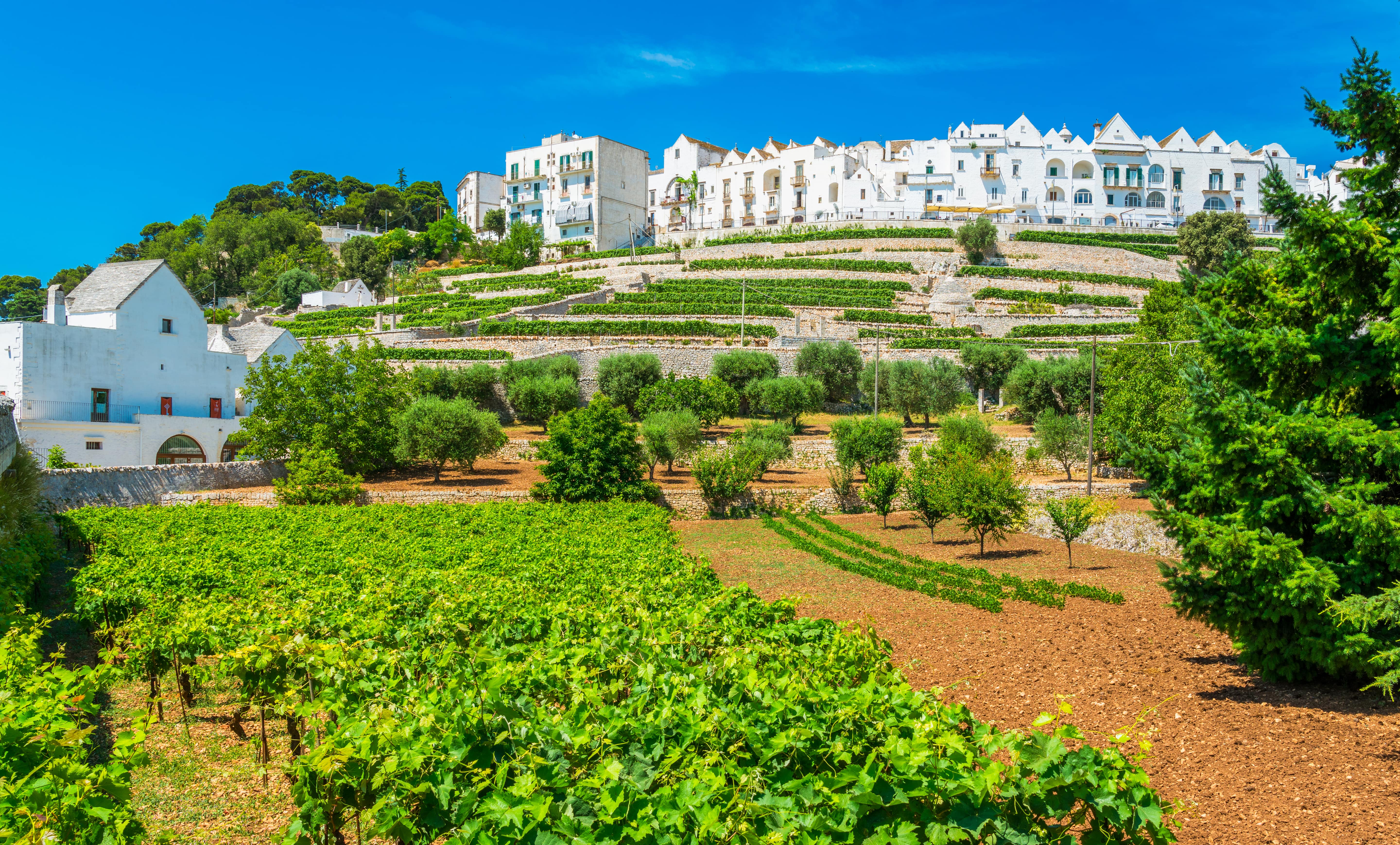 Journey through Puglia to Matera