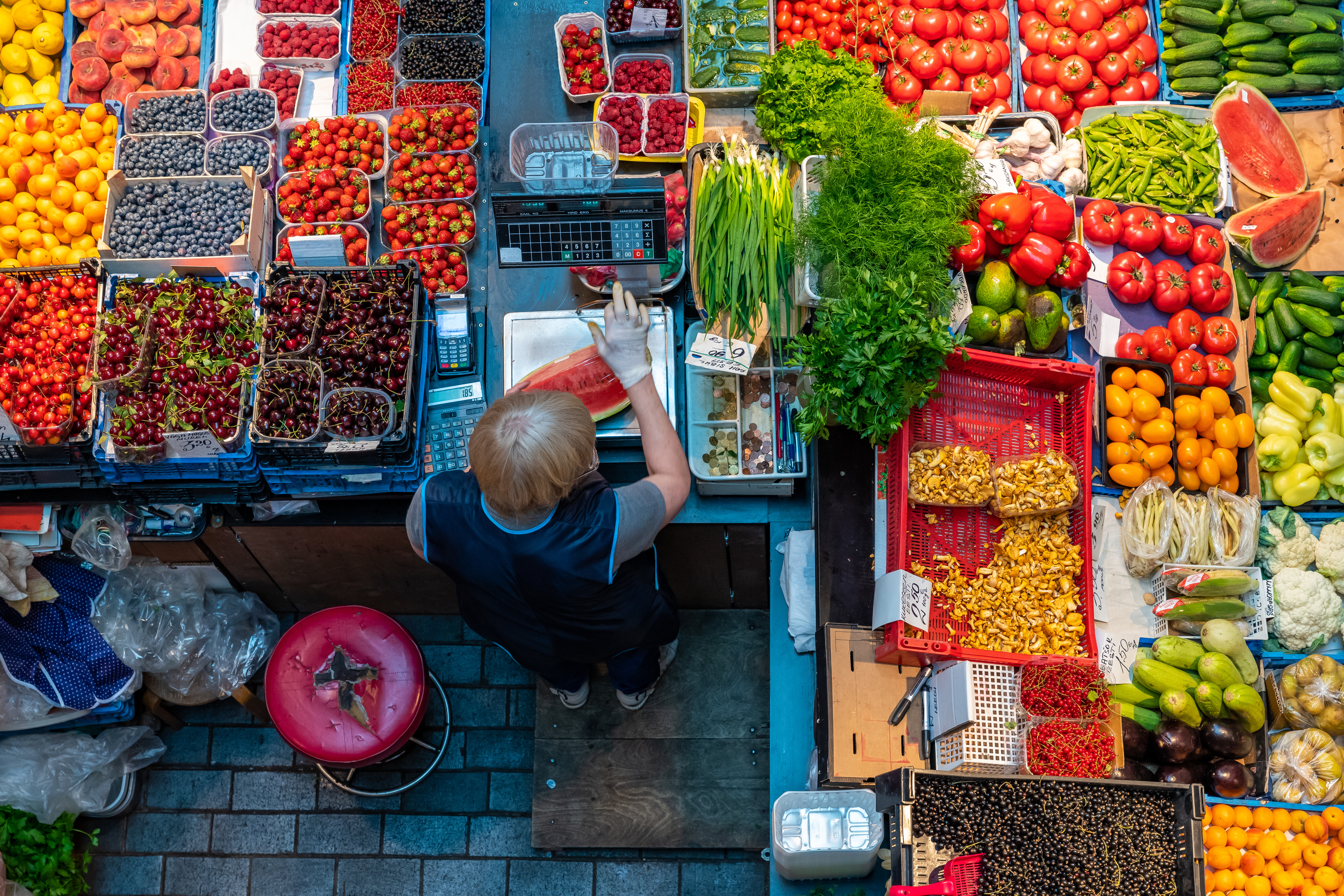 Walks of the Baltics and Finland