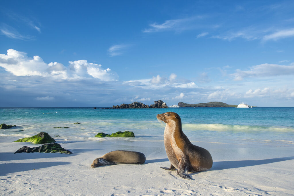 Island Hopping in the Galapagos