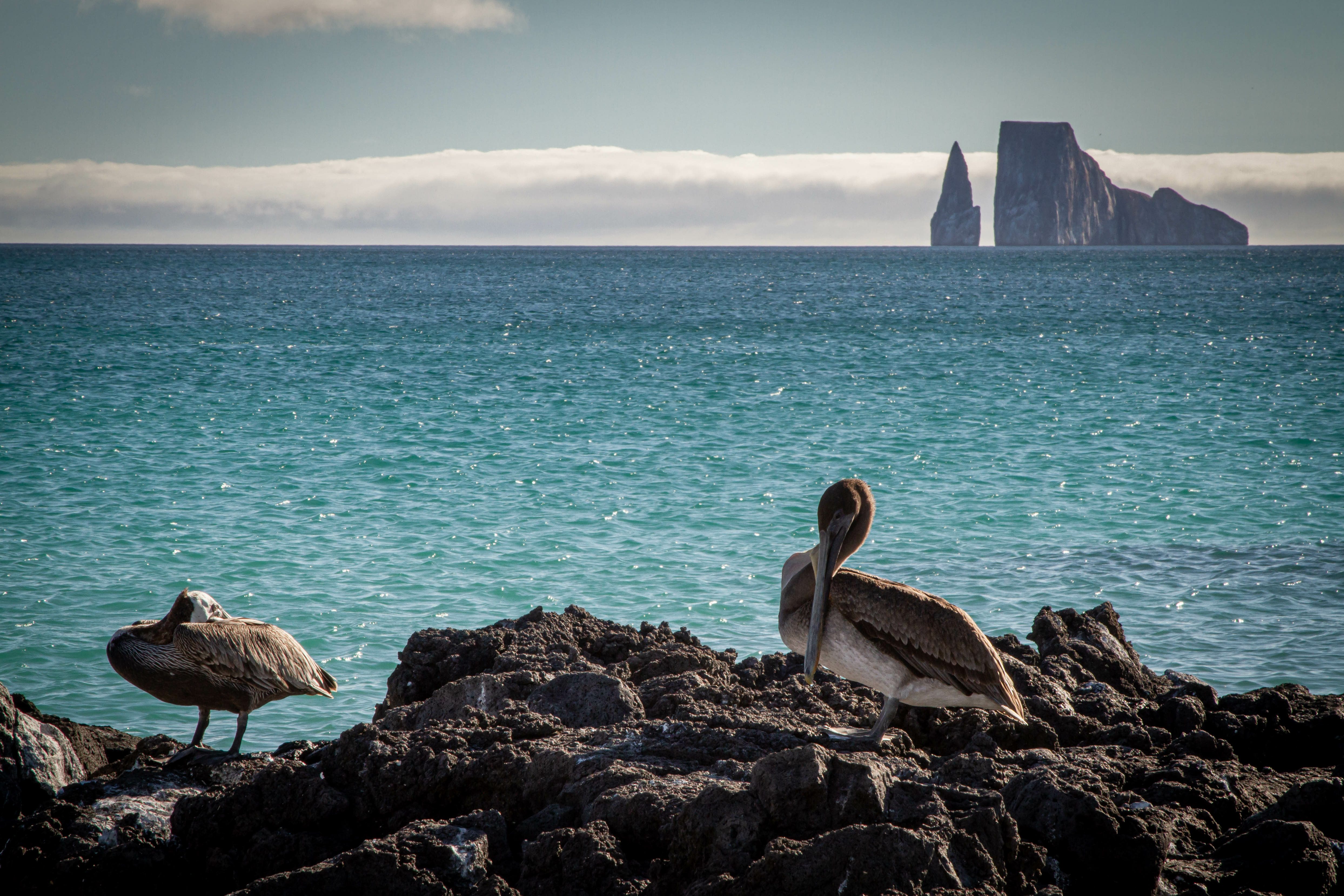 Galapagos Walking Adventure