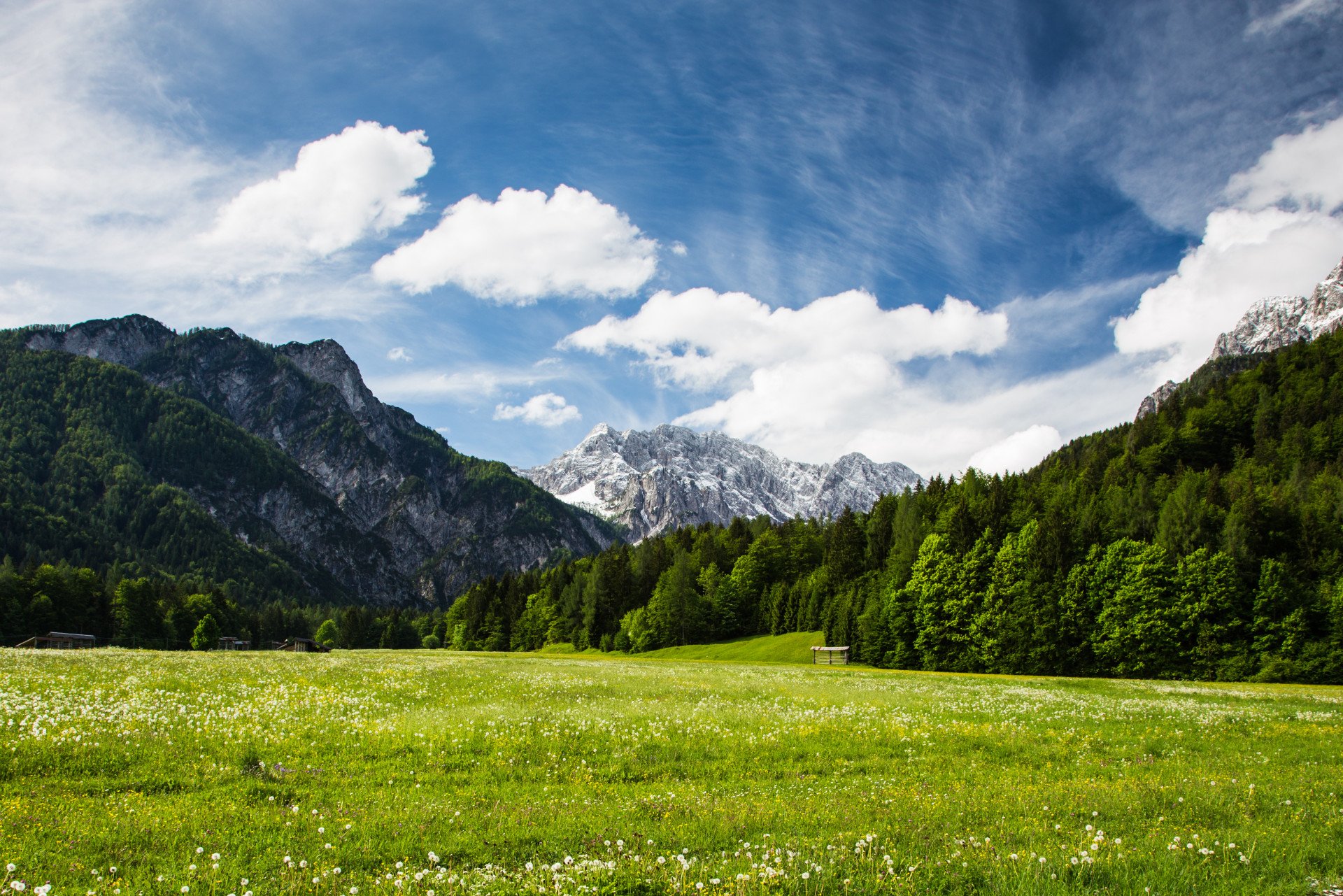 Walking in the Soča and Bohinj Valleys