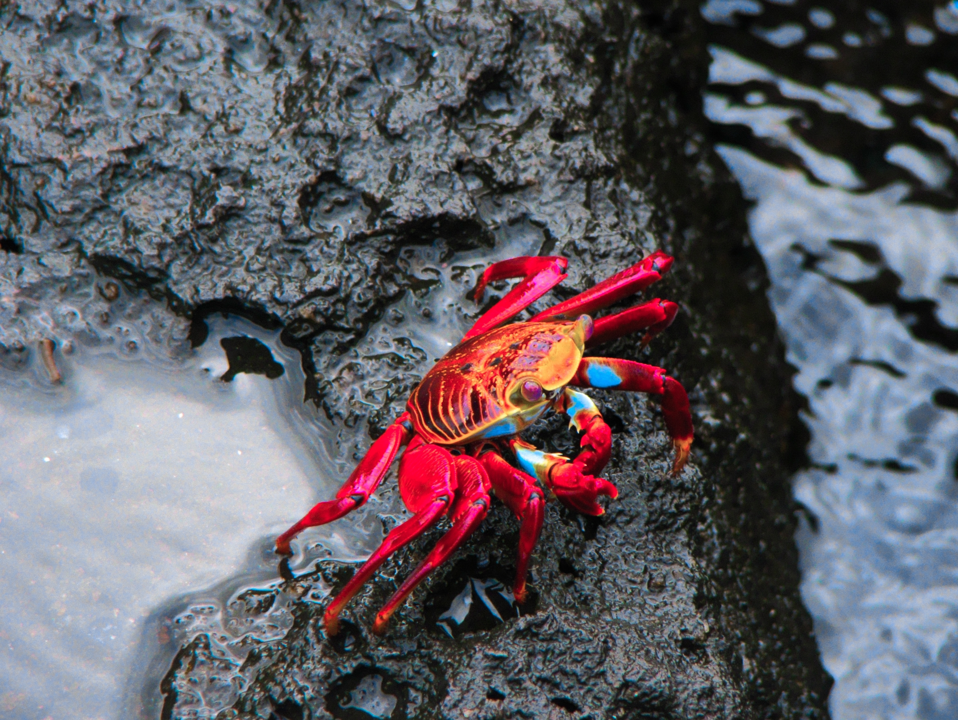 Galapagos Walking Adventure