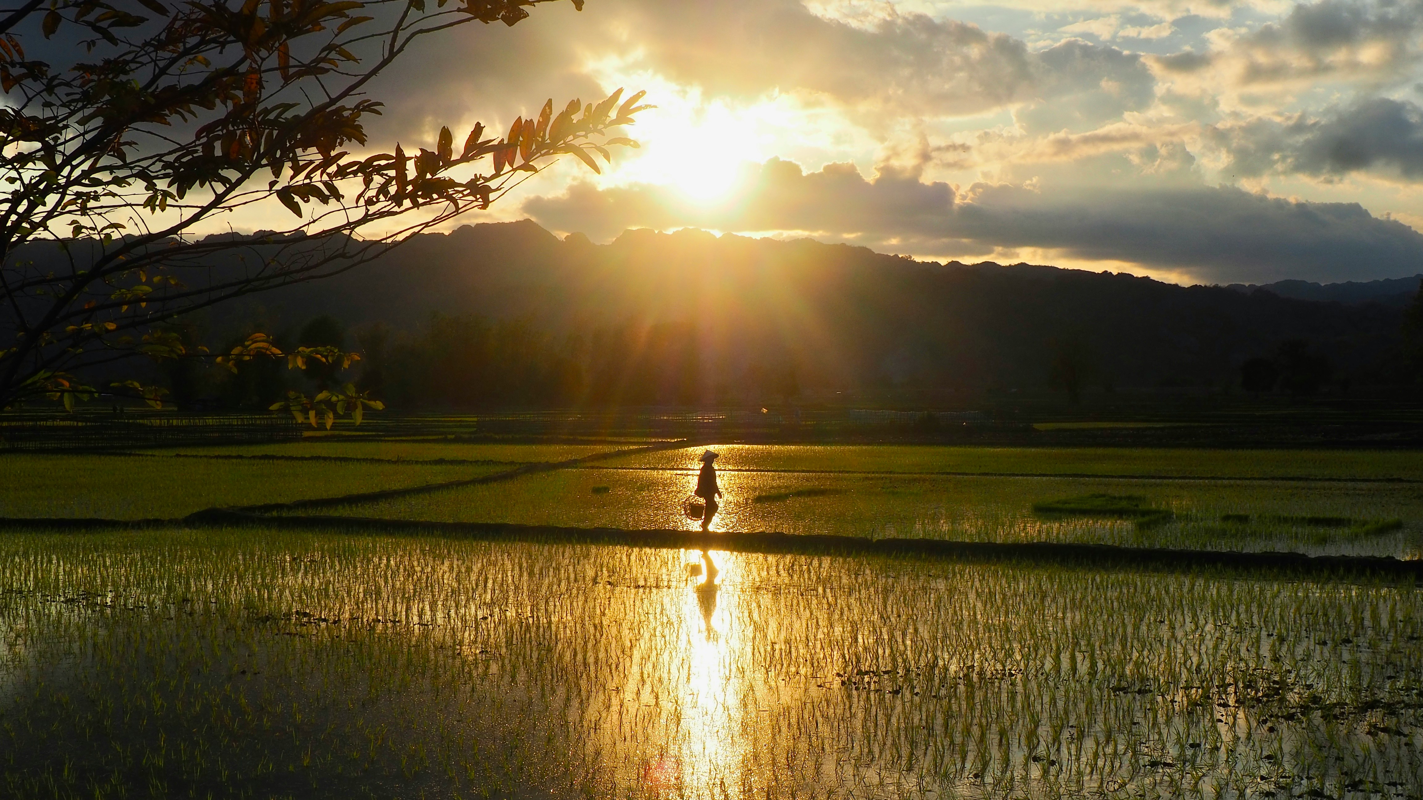 Discover Laos in Comfort