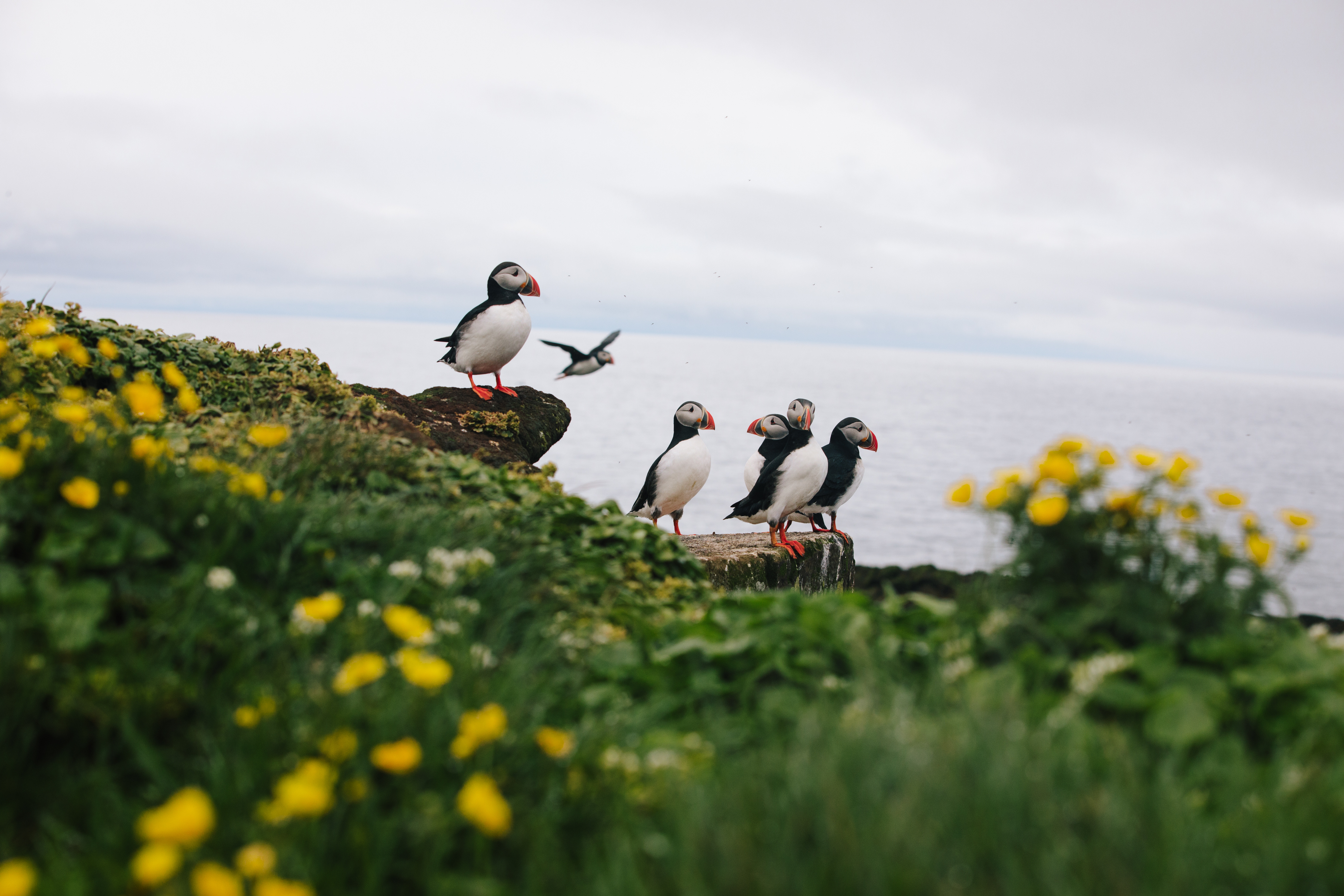 Tour | Iceland Circumnavigation: Mountains, Volcanoes and Waterfalls ...