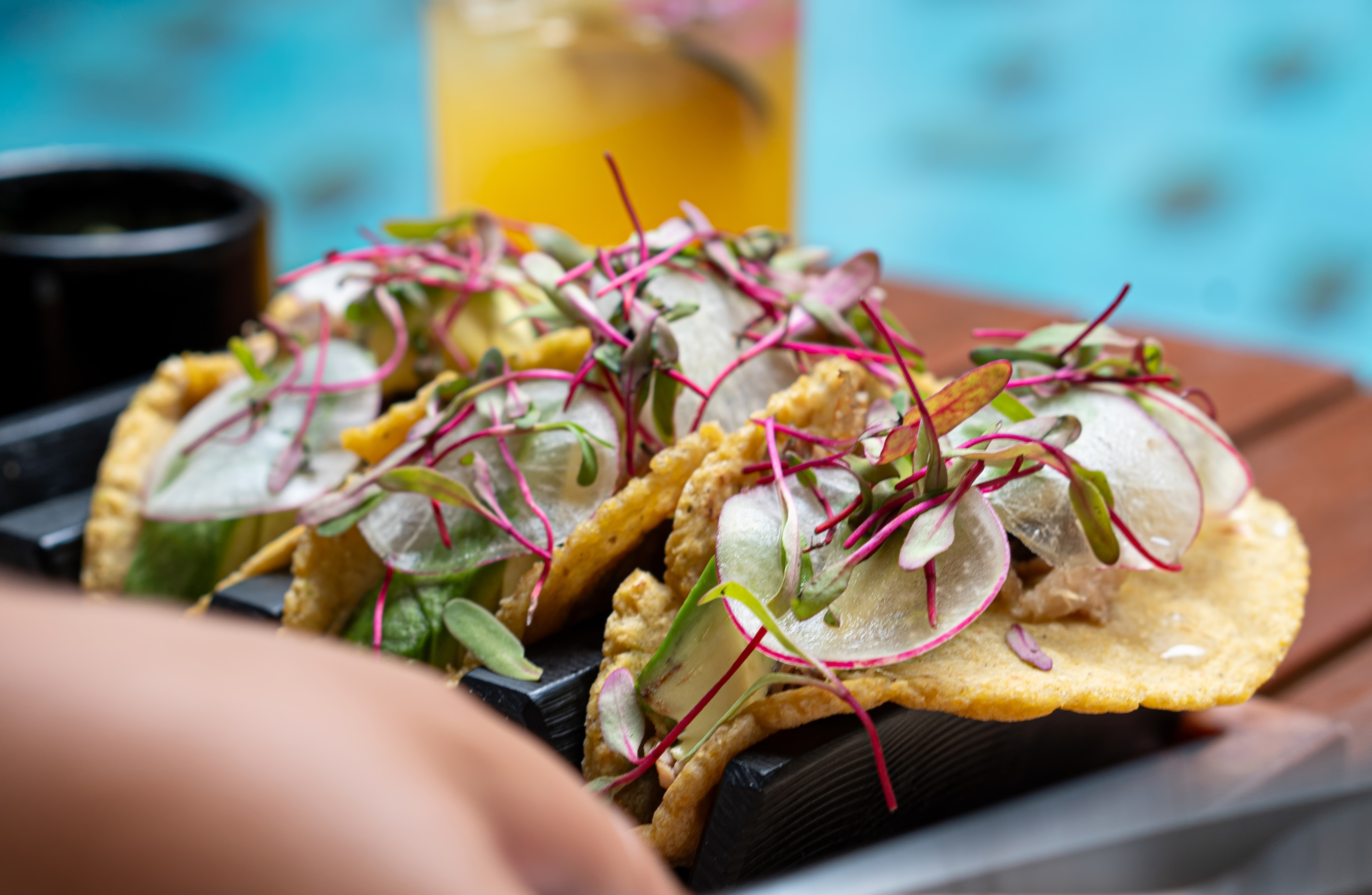 Mexico's Yucatán Adventure