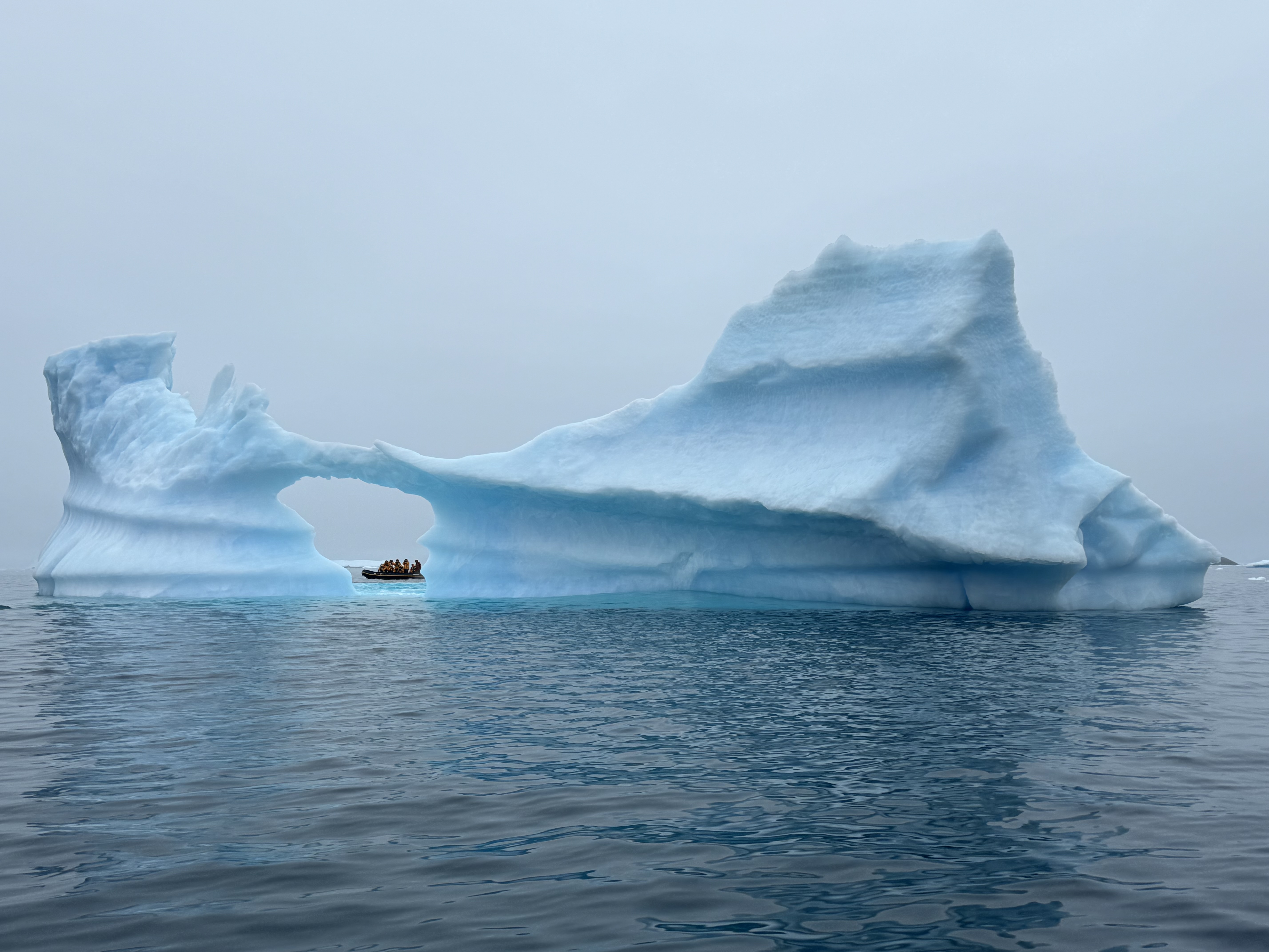 Antarctic Express: Sail South, Fly North via Buenos Aires