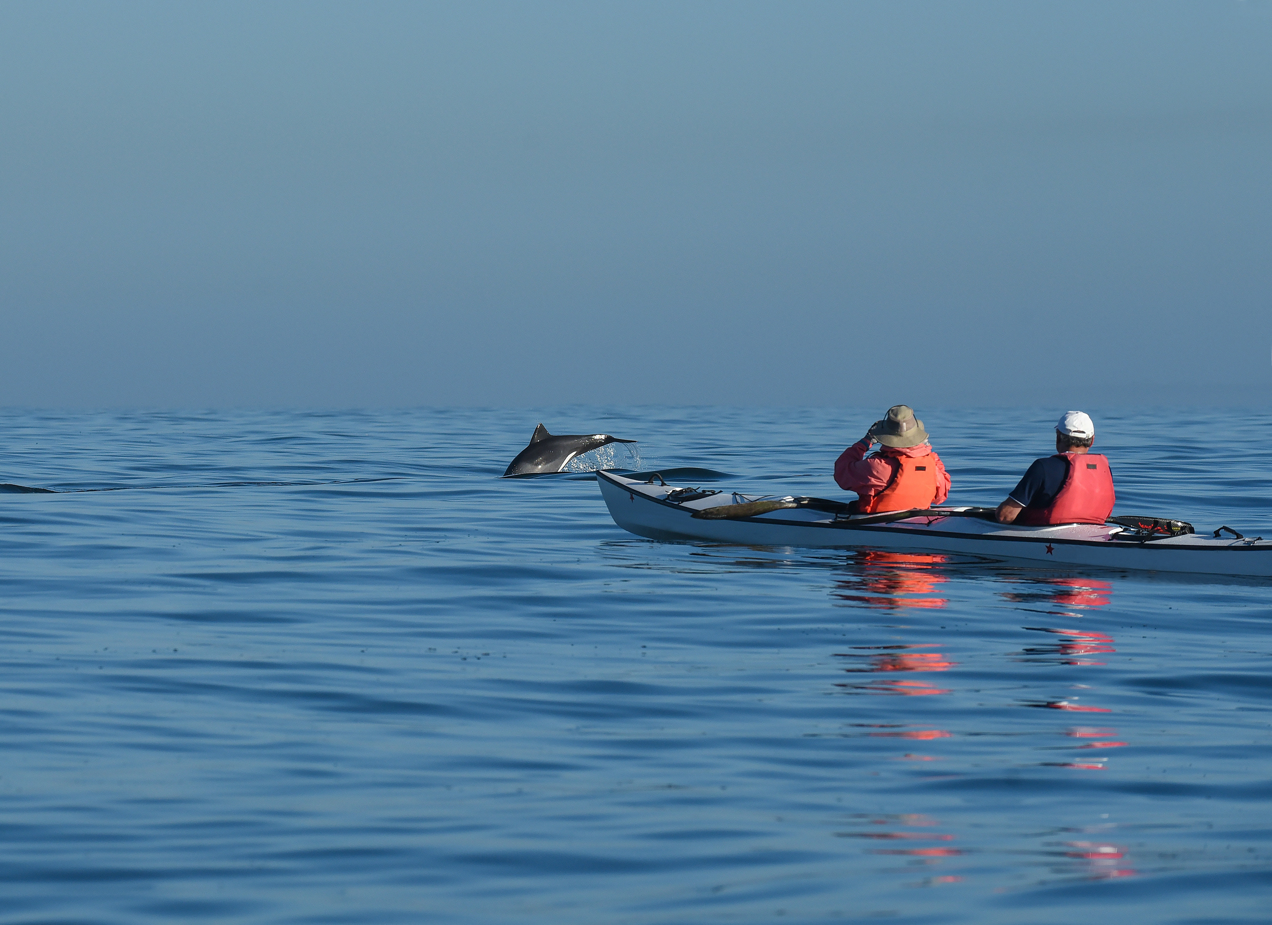 Highlights of South Africa's Winelands